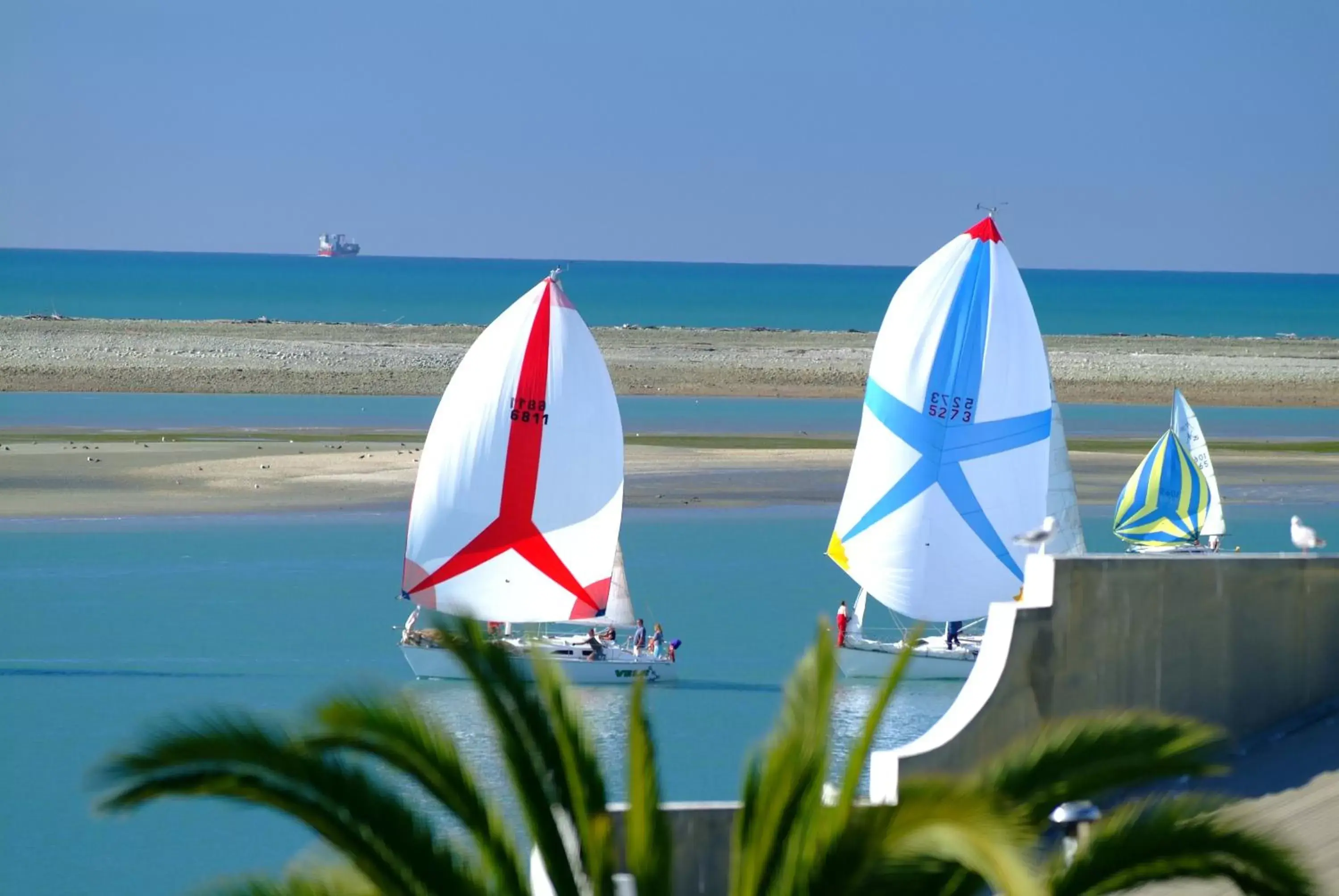 Windsurfing in Century Park