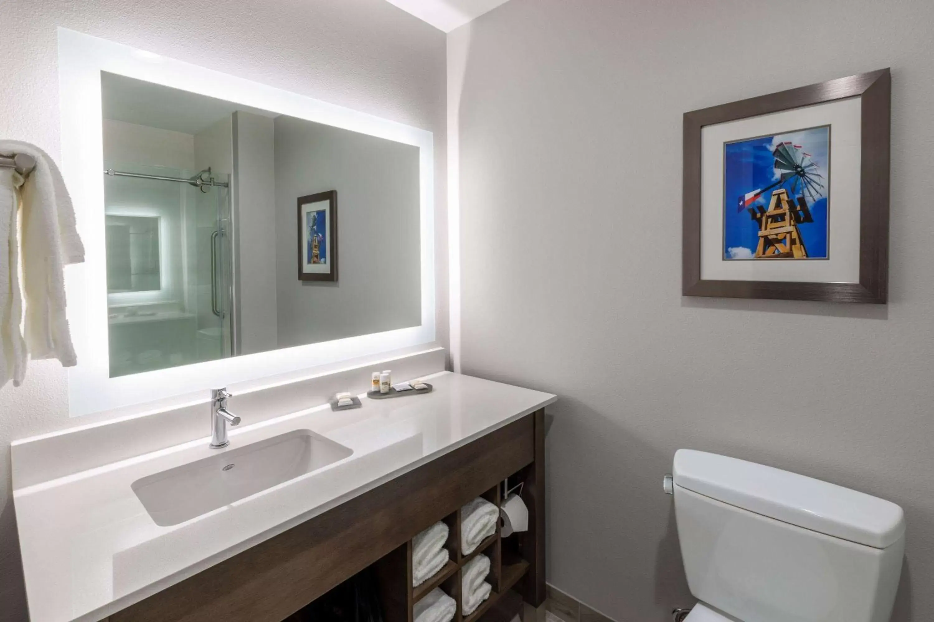 TV and multimedia, Bathroom in La Quinta Inn & Suites by Wyndham Round Rock near Kalahari