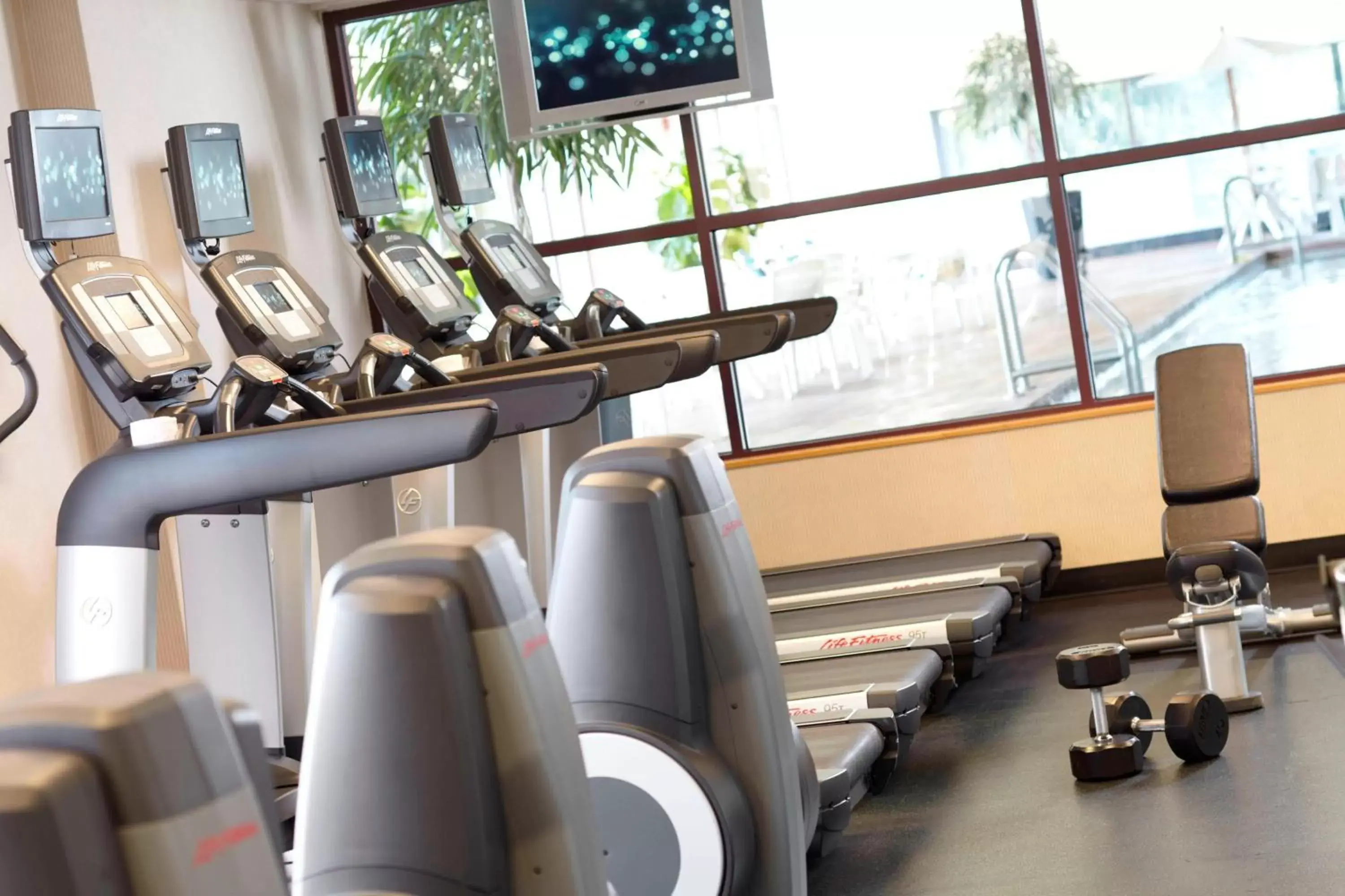 Fitness centre/facilities, Fitness Center/Facilities in Renaissance Asheville Downtown Hotel