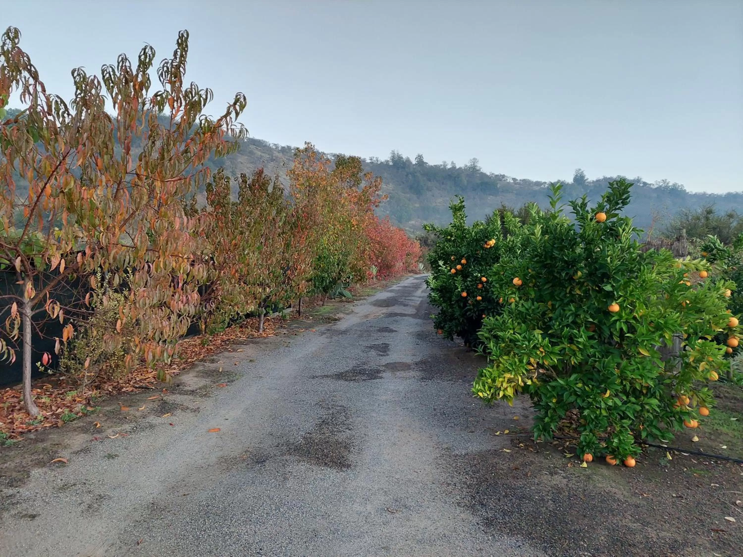 Lobby or reception in Callihue Lodge