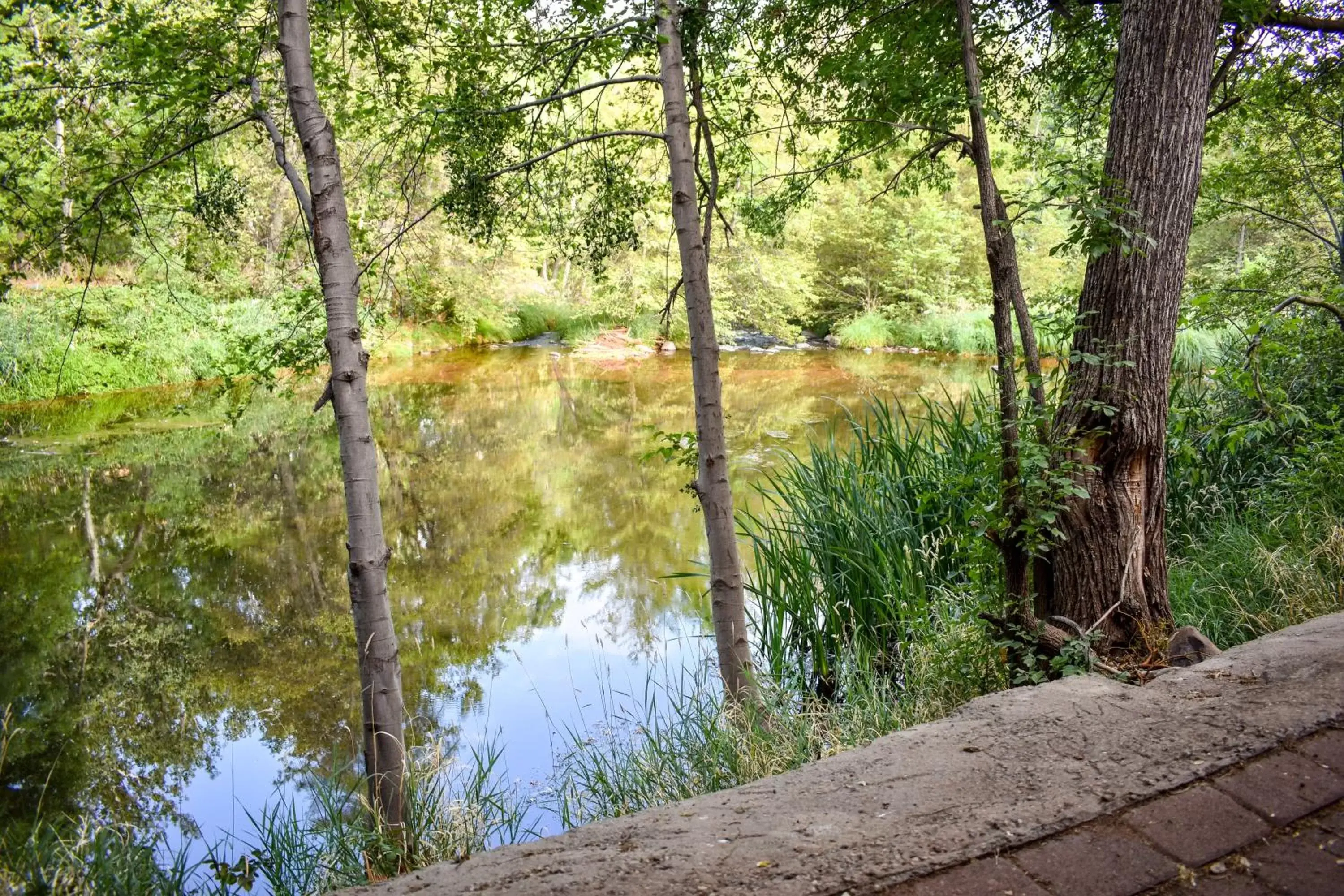 River view in Cedars Resort River view in Cedars Resort