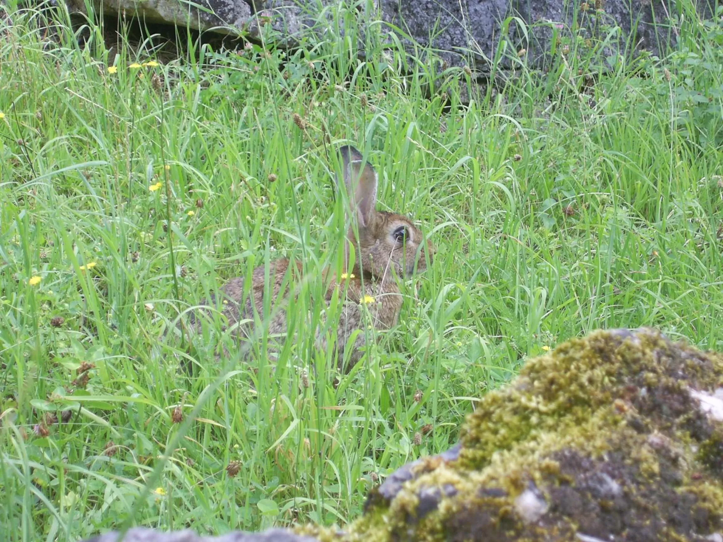 Property building in Les Rêves de Flamboin