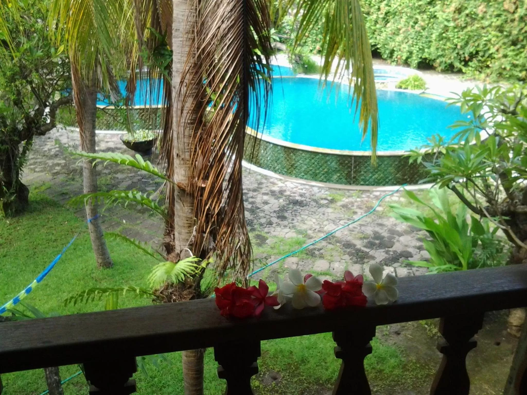 Pool View in Nirwana Sea Side Cottages