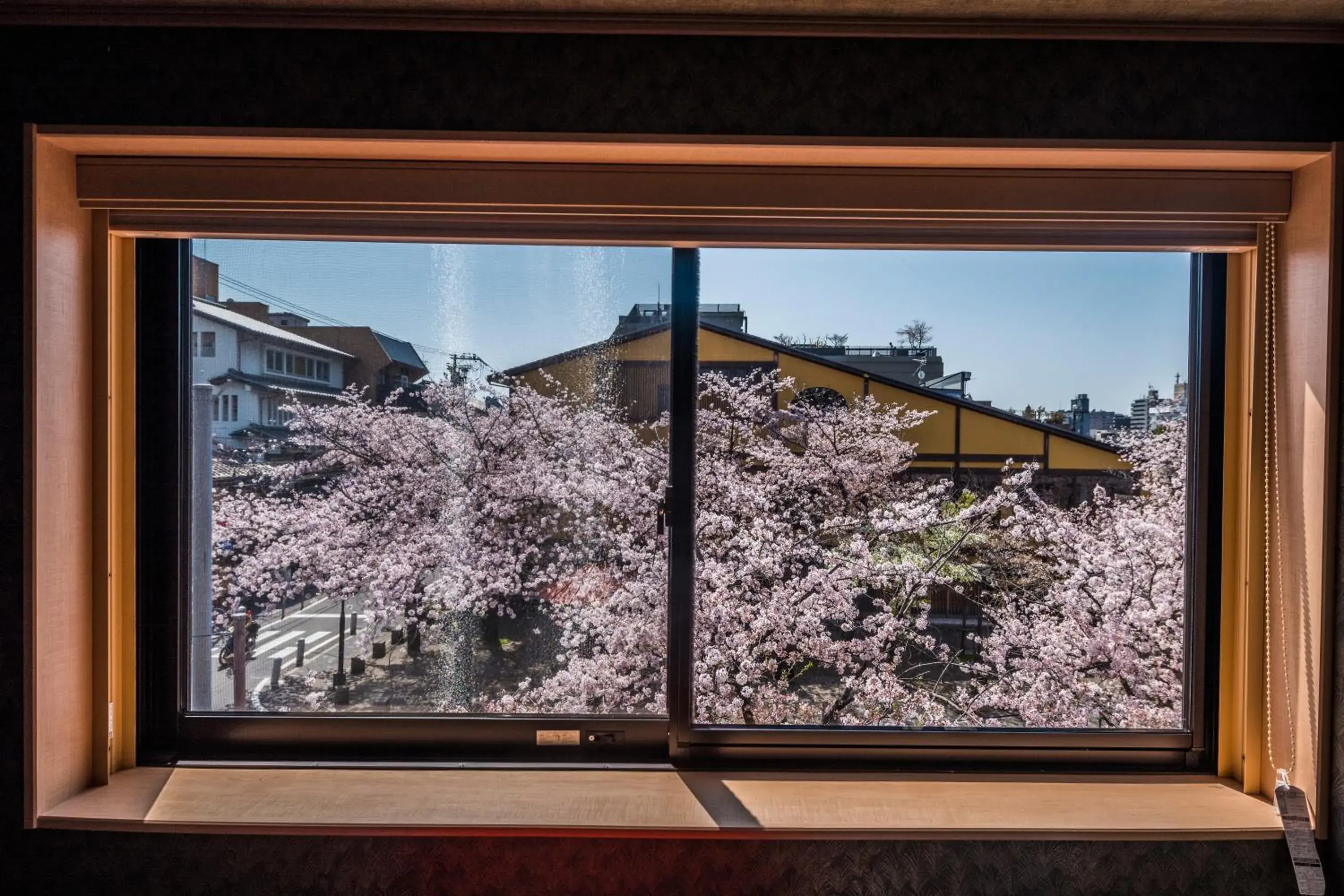 Spring, Winter in Hotel Alza Kyoto
