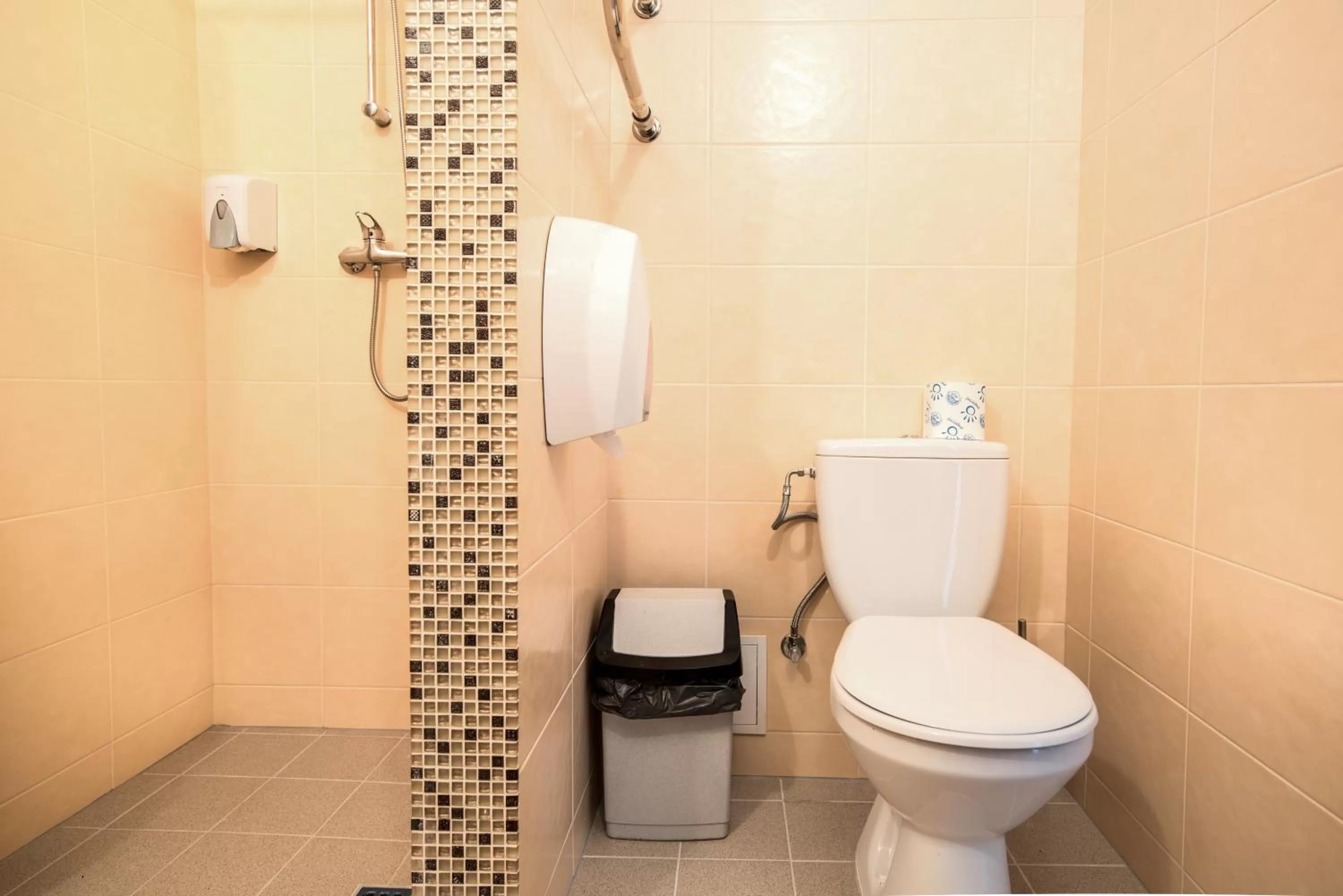 Bathroom in Hotel Mezaparks