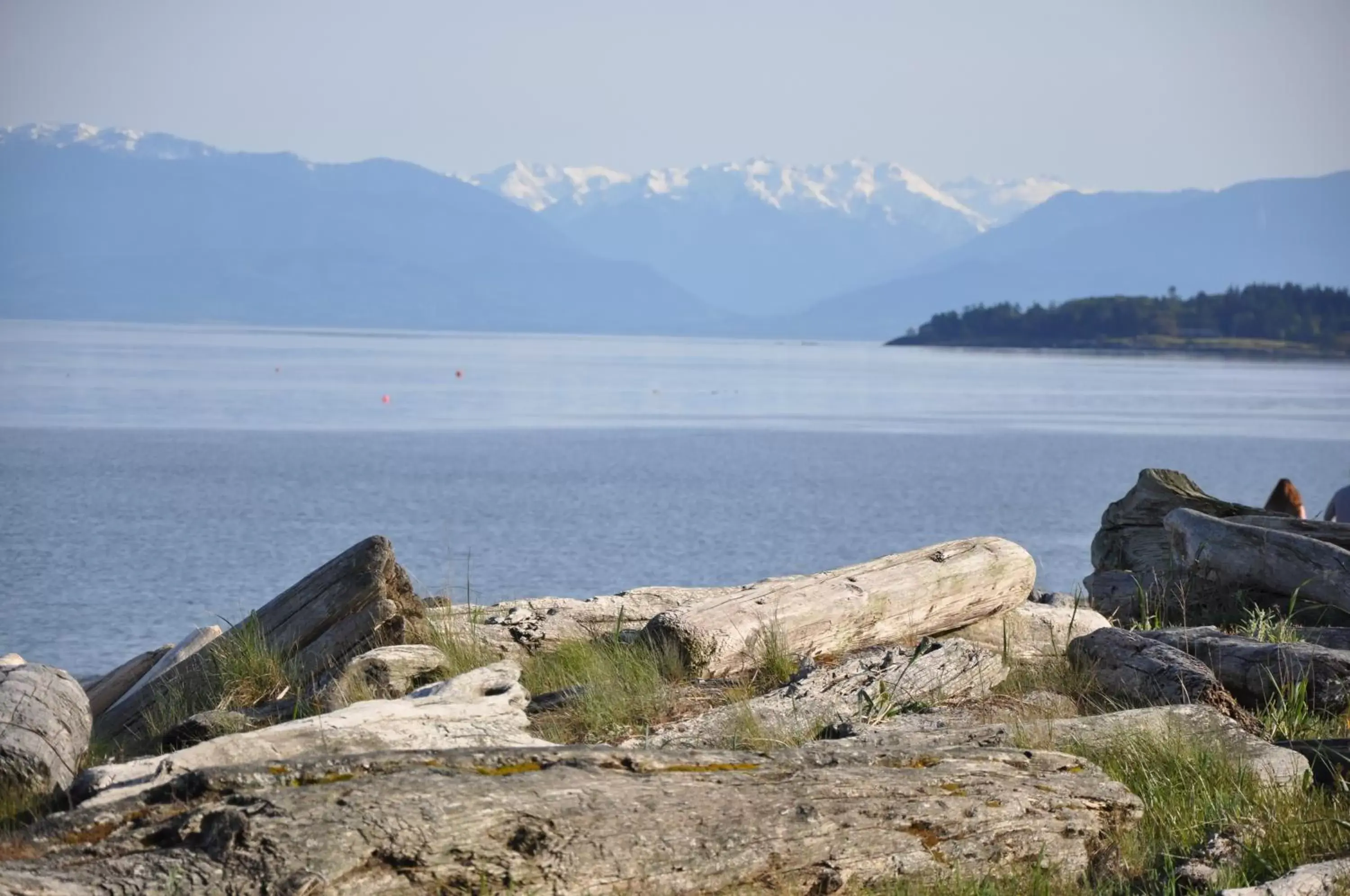 Natural landscape in Birds of a Feather Ocean Lagoon Victoria Condos