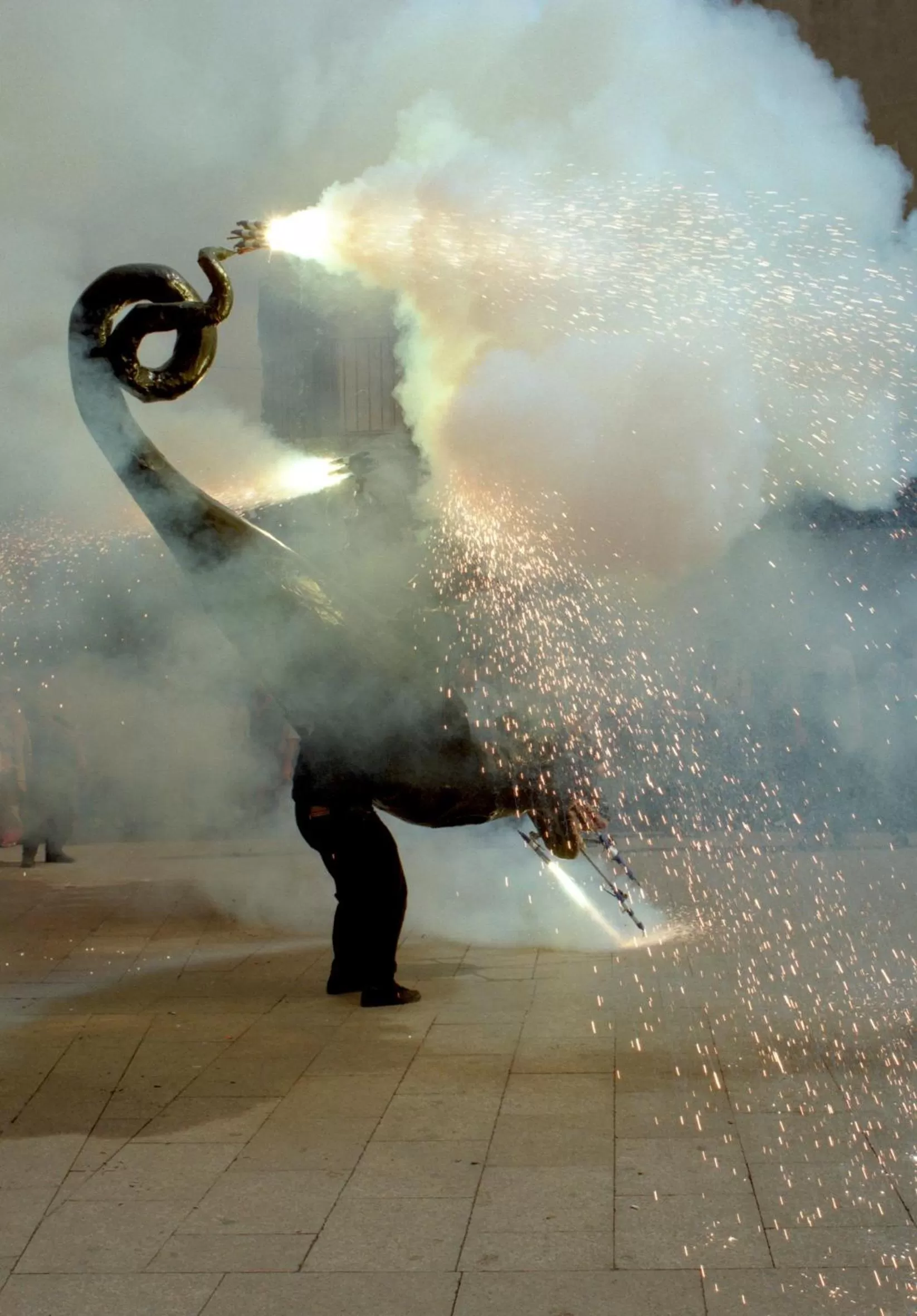 Activities in Hotel Pere III El Gran