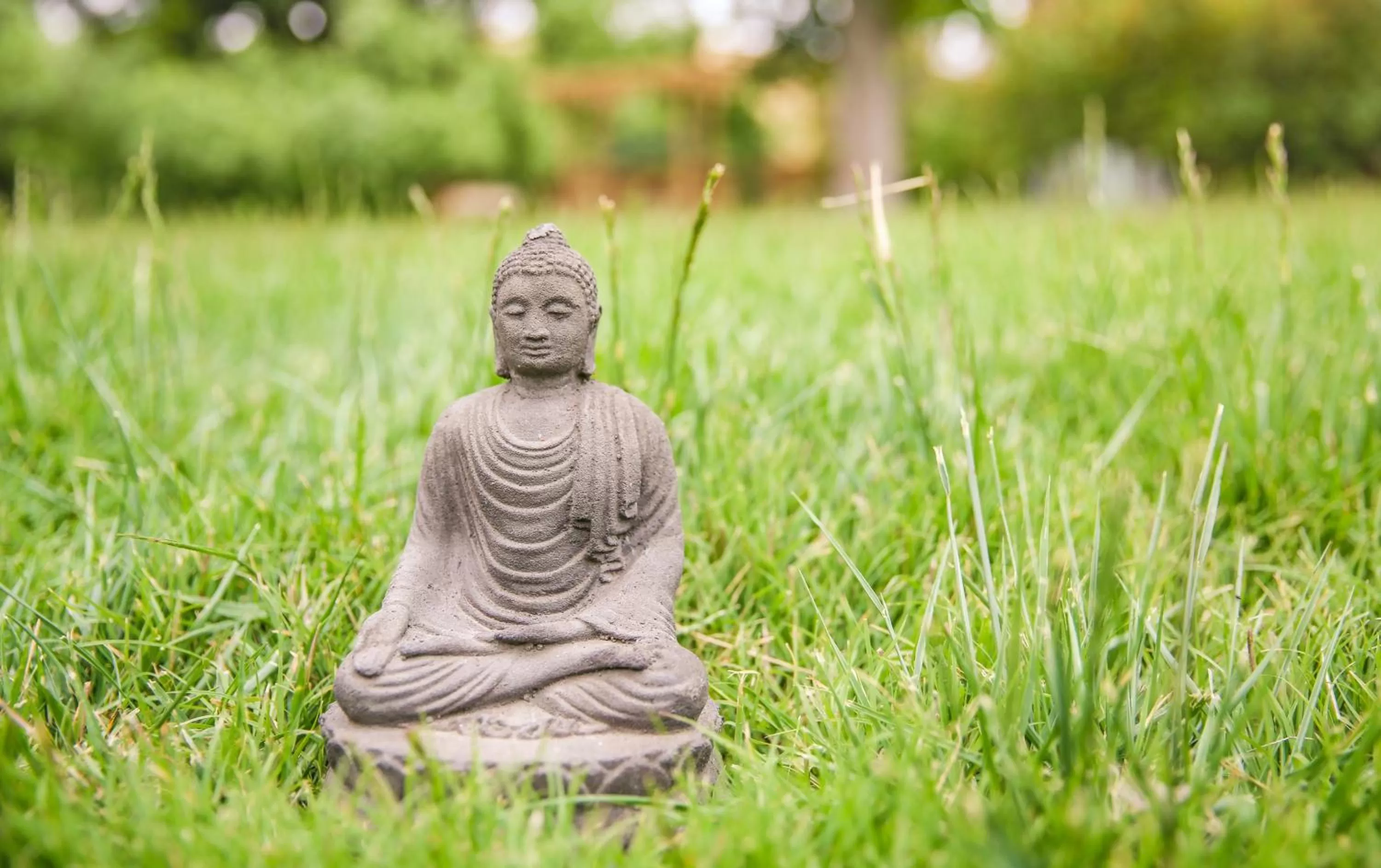 Garden in The Eden House Vineyard