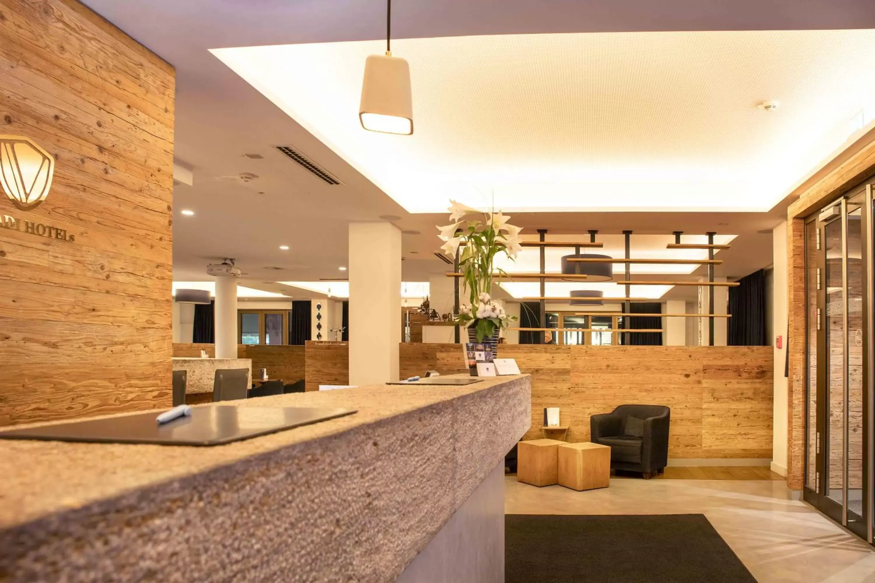 Lobby or reception, Lounge/Bar in Bayer 89 Vi Vadi Hotel