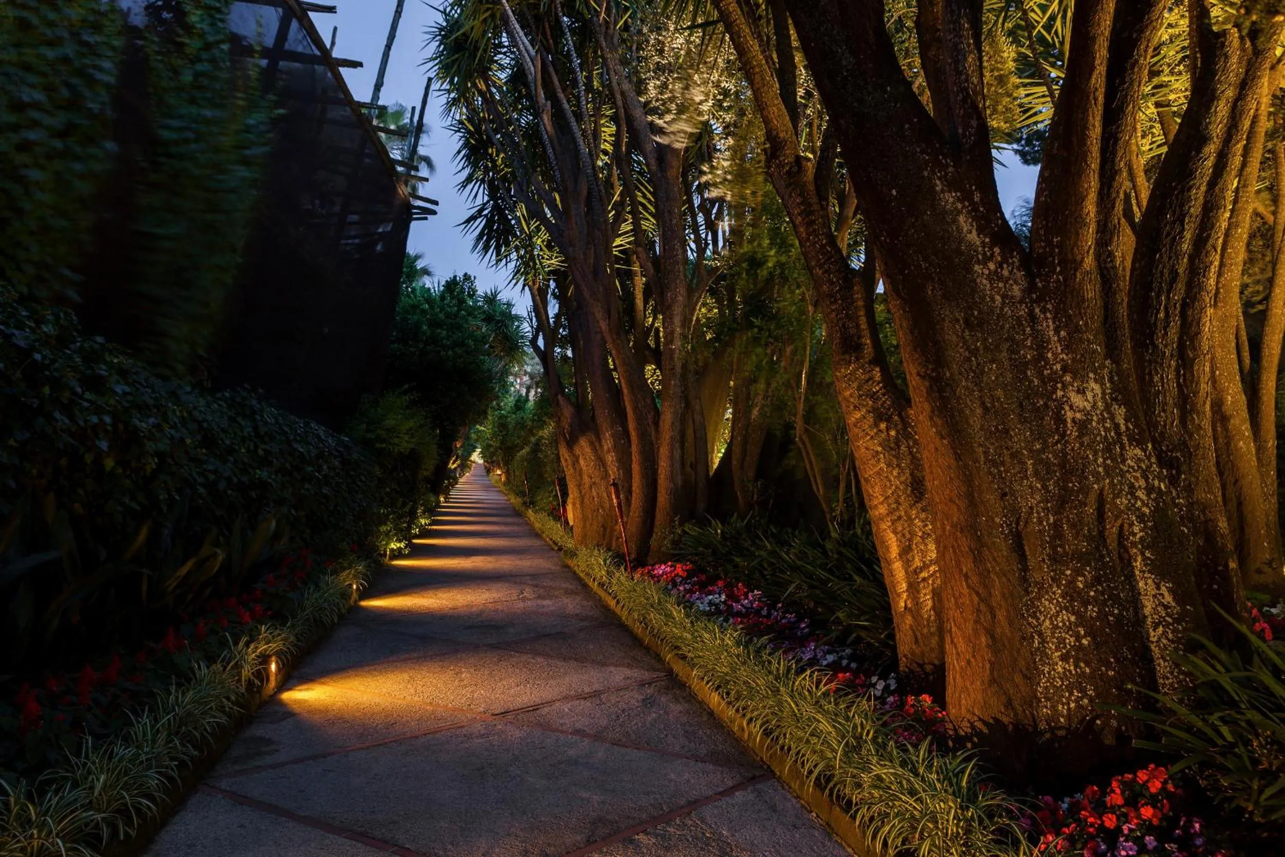 Garden in Grand Hotel Cocumella