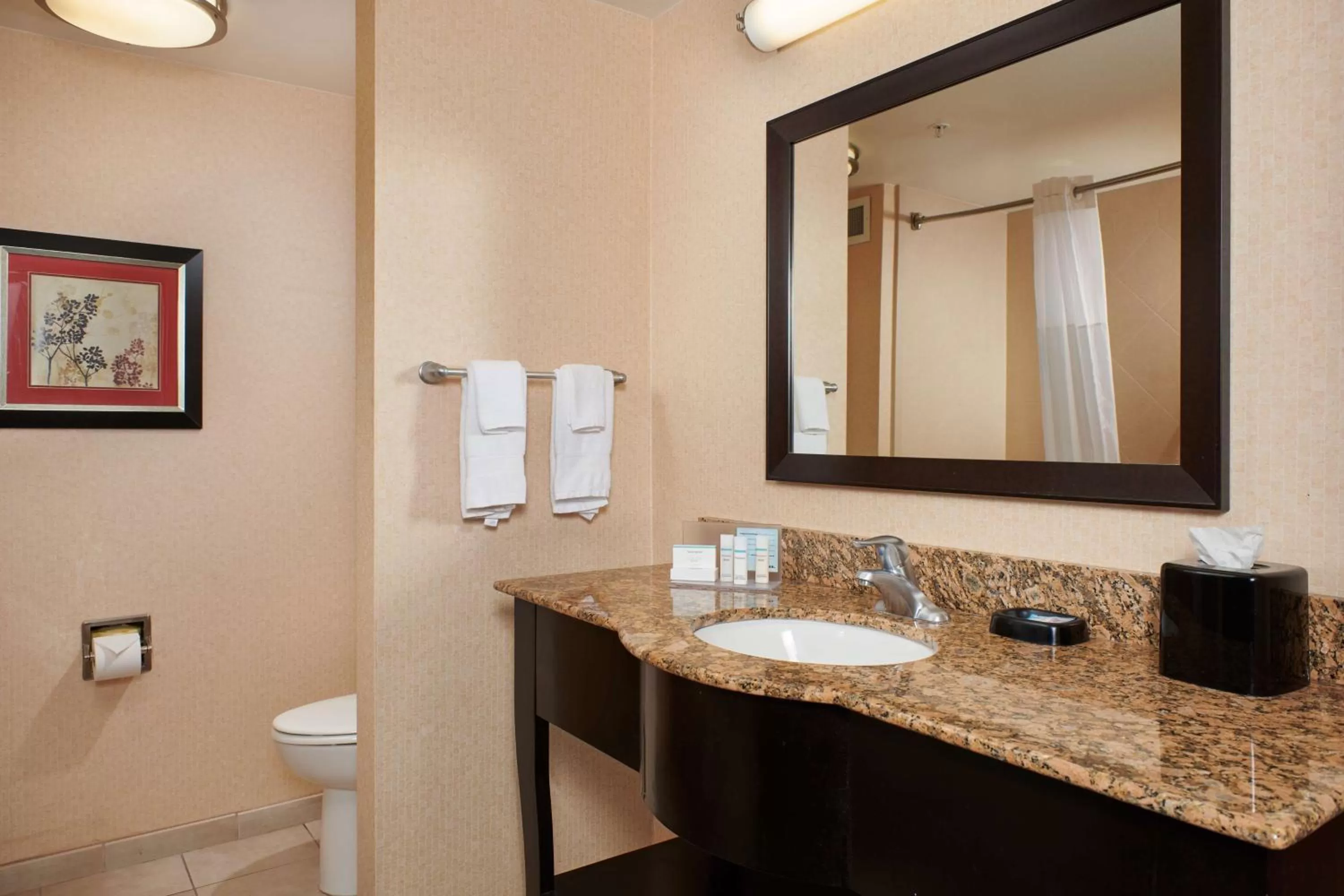 Bathroom in Hampton Inn & Suites Denver/Highlands Ranch
