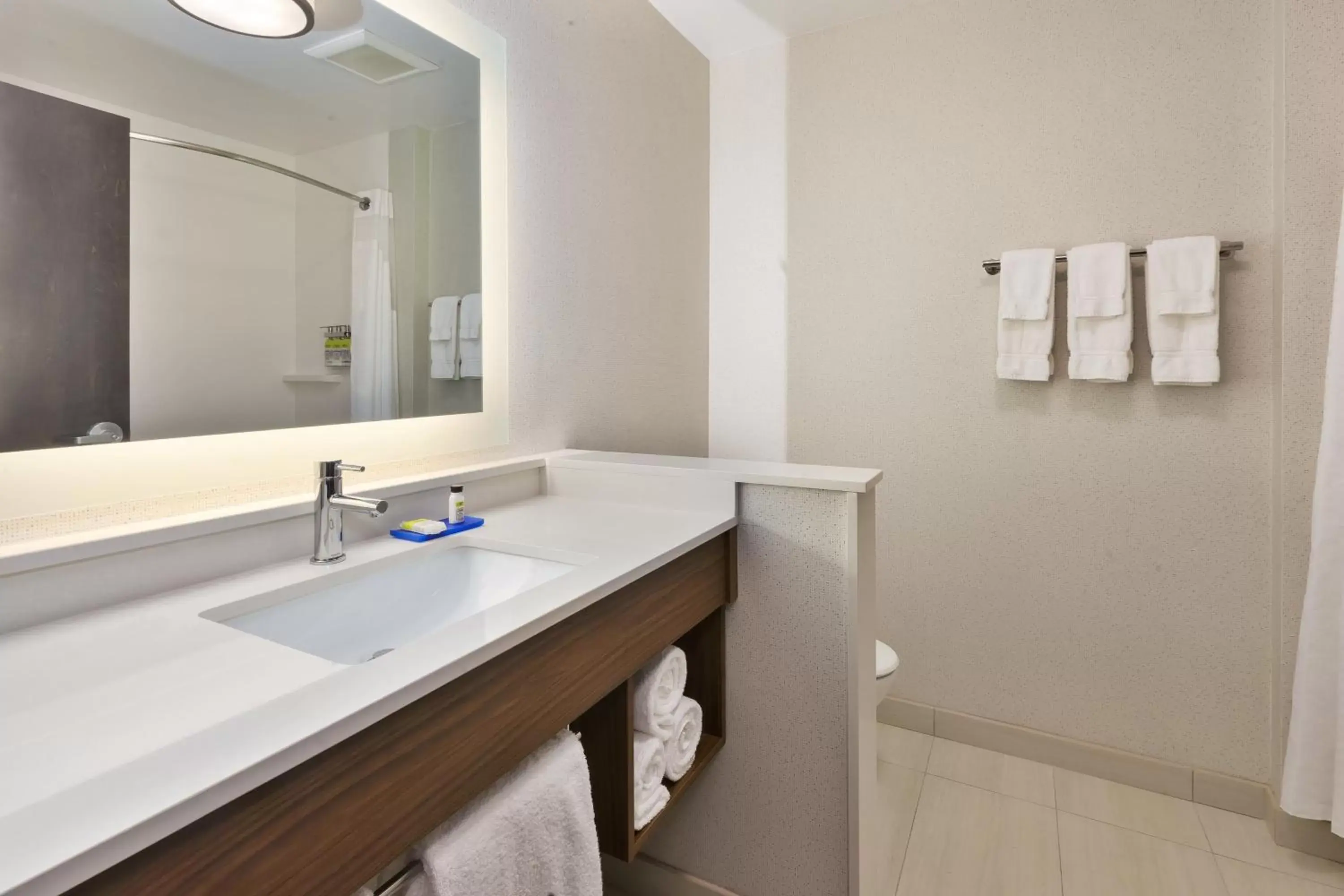 Bathroom in Holiday Inn Express & Suites - Milan - Sandusky Area, an IHG Hotel