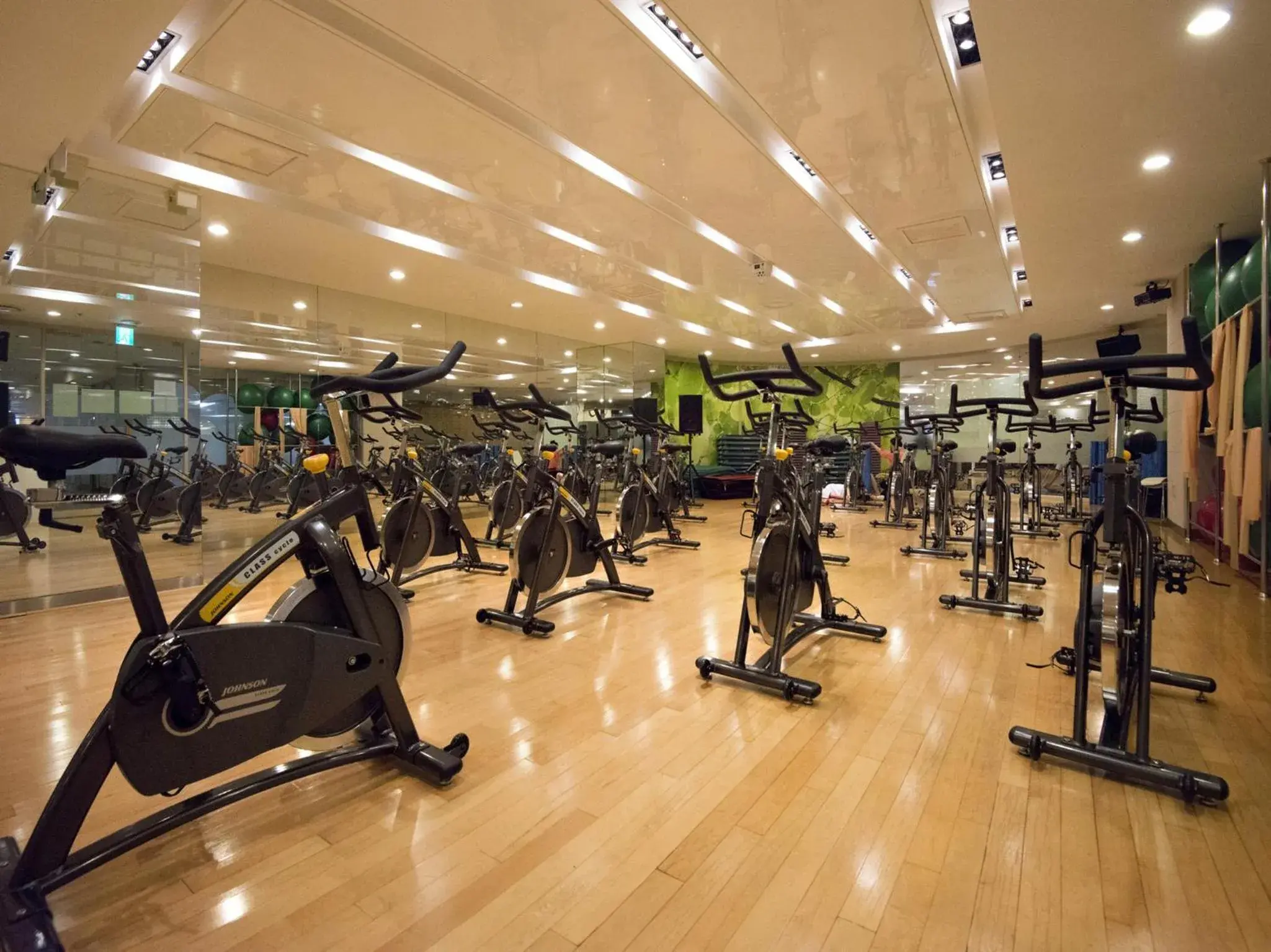 Fitness centre/facilities, Fitness Center/Facilities in Nongshim Hotel