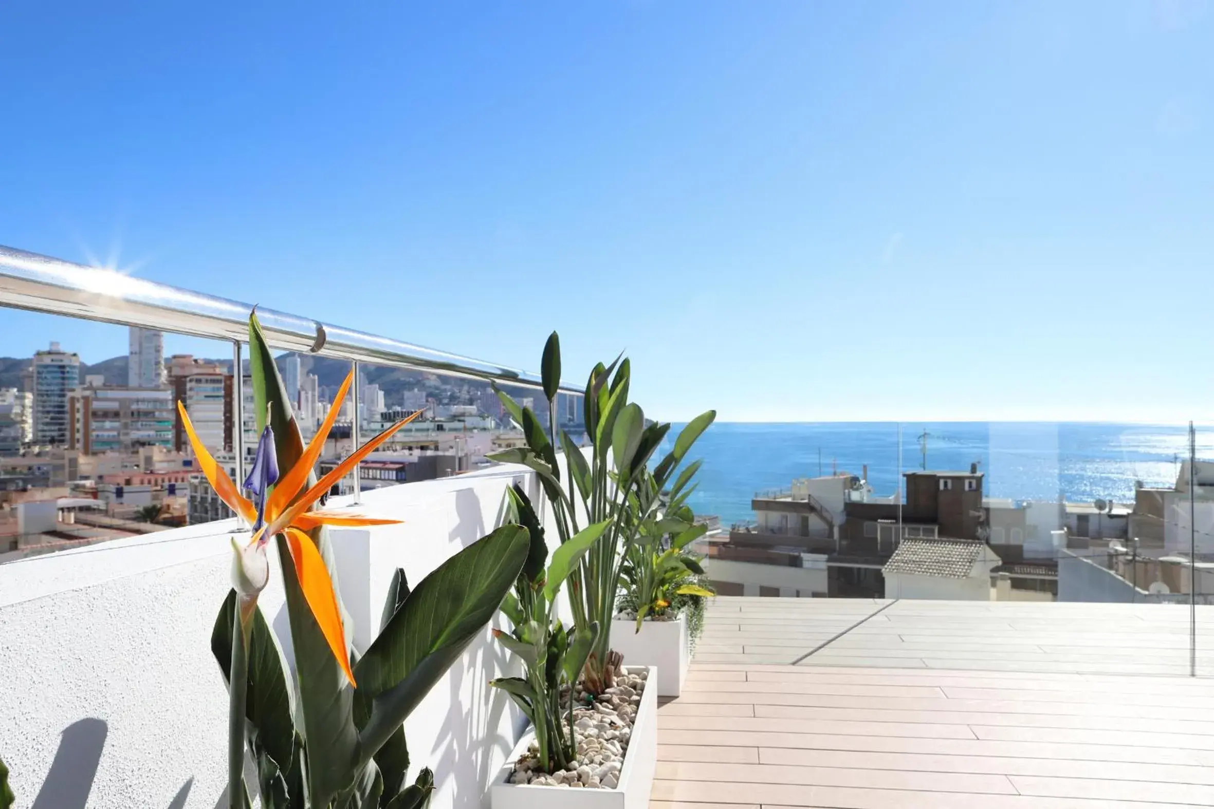 Property building in Hotel Alameda Property building in Hotel Alameda