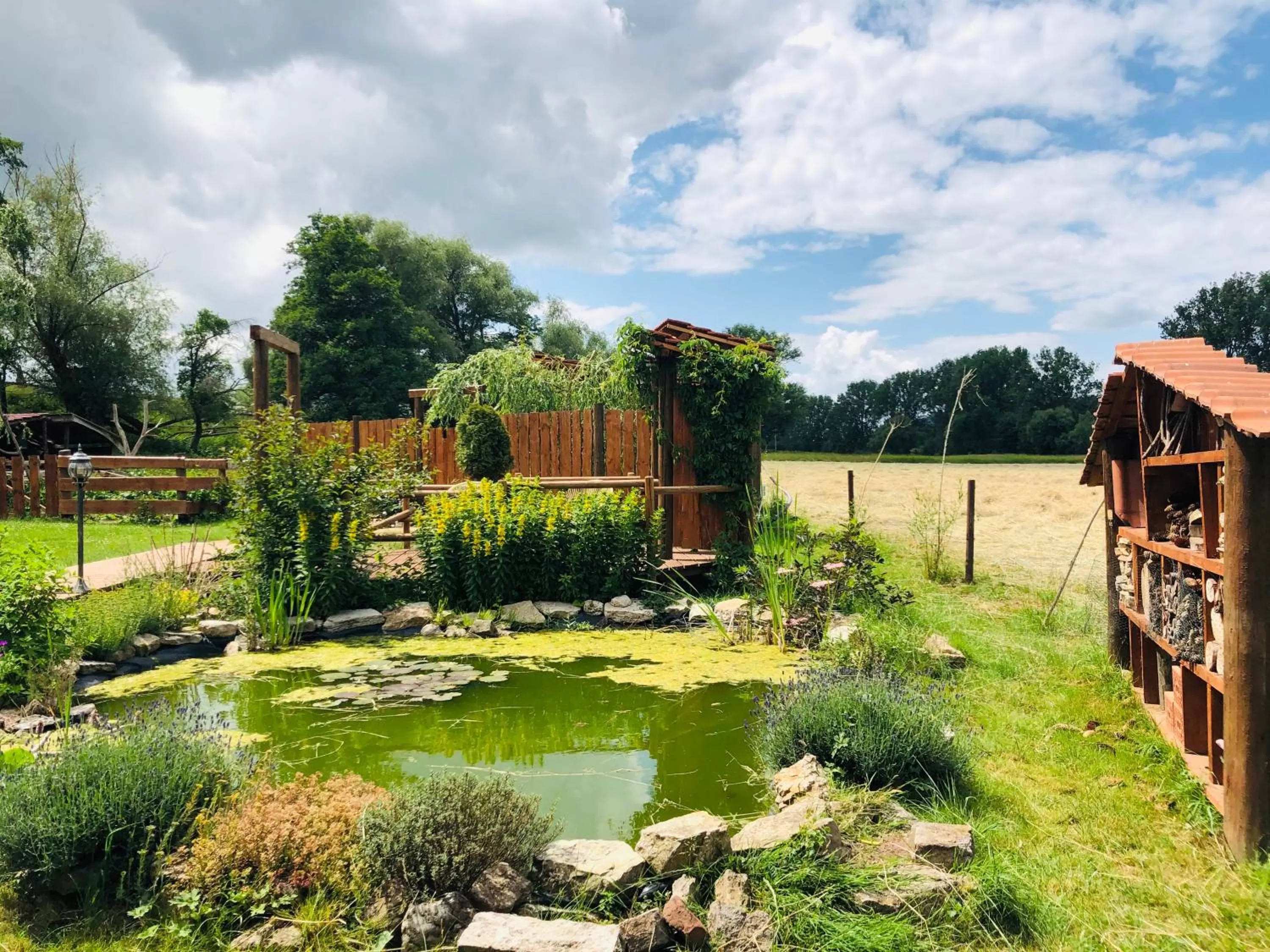 Garden in Hotel Weiße Mühle