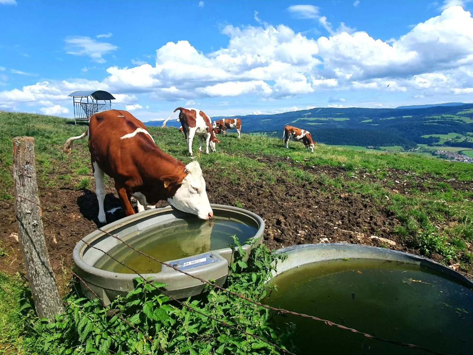 Chambres d'hôtes La Carrée