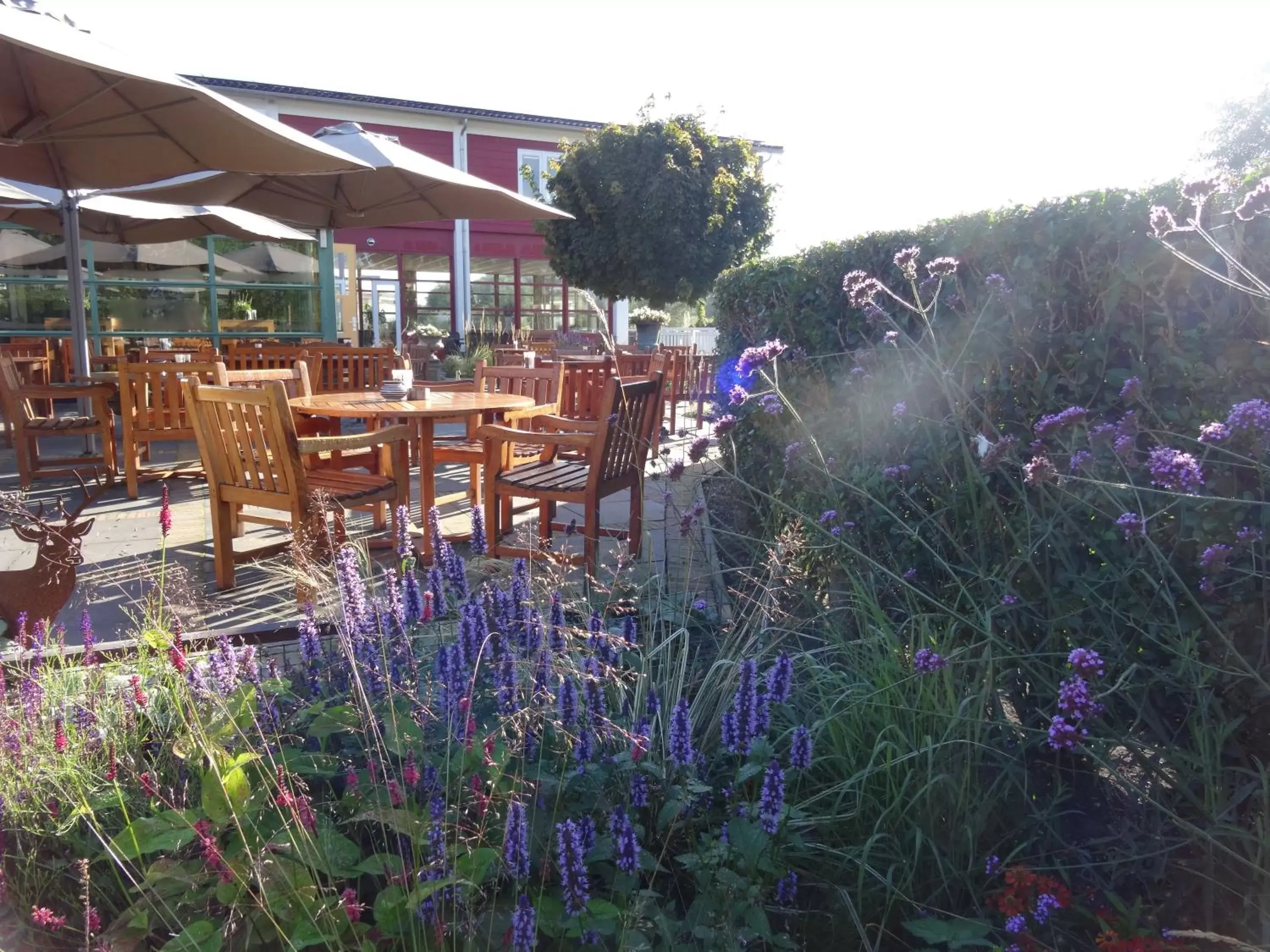 Garden in Hajé Hotel Restaurant de Lepelaar