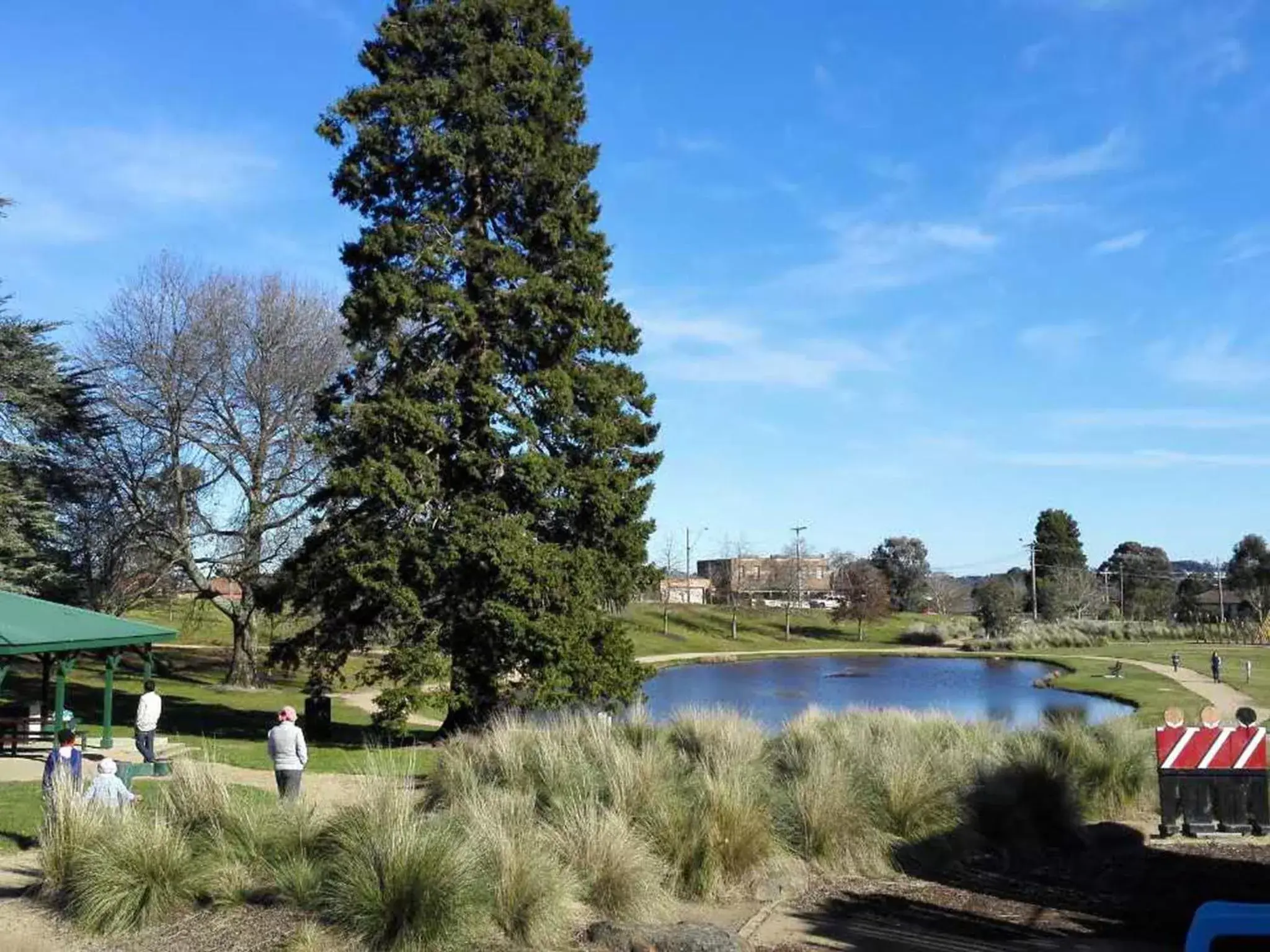 Natural landscape, Swimming Pool in Ballarat Eureka Lodge Motel