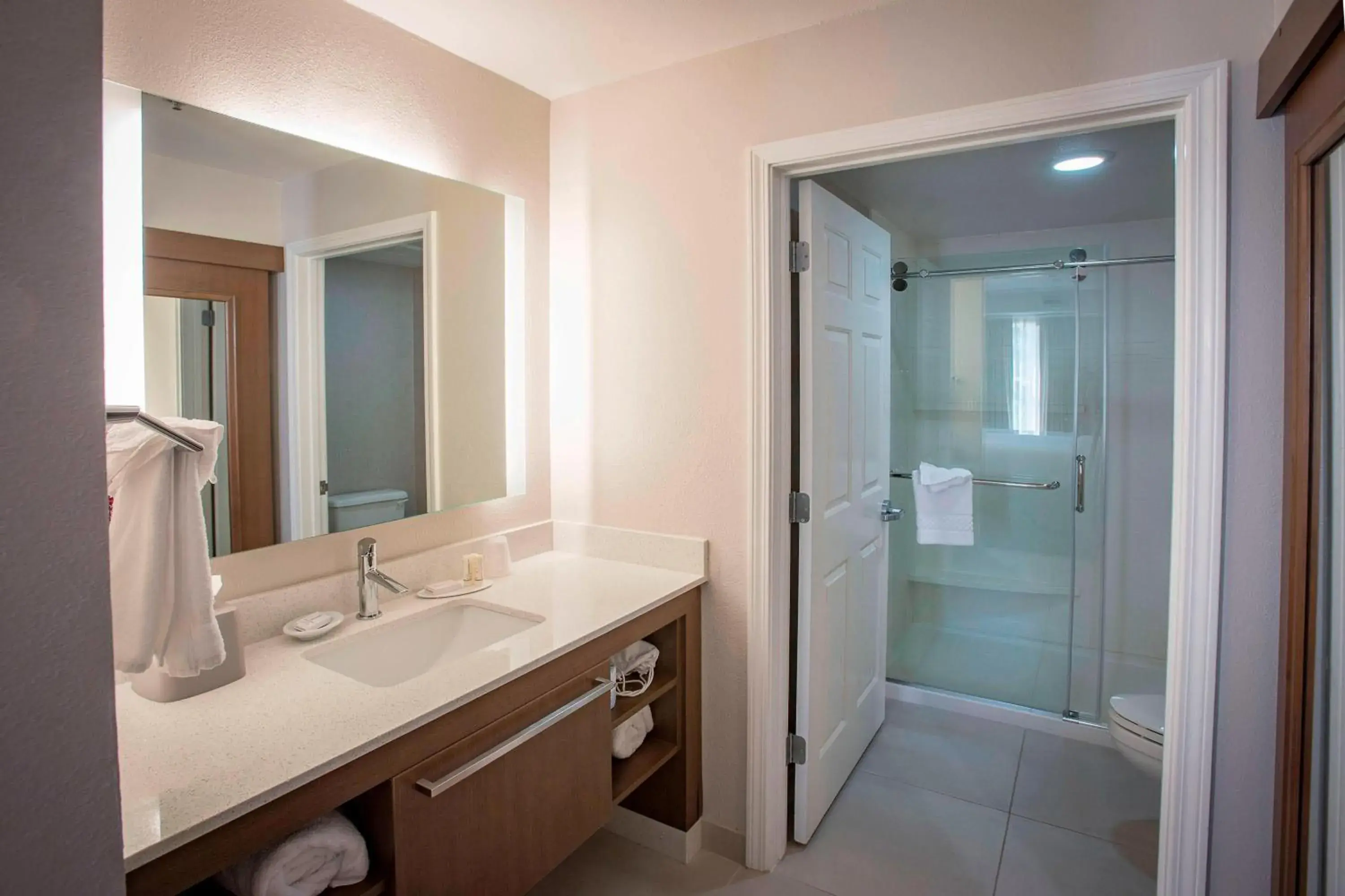 Bathroom in Residence Inn by Marriott Pensacola Downtown