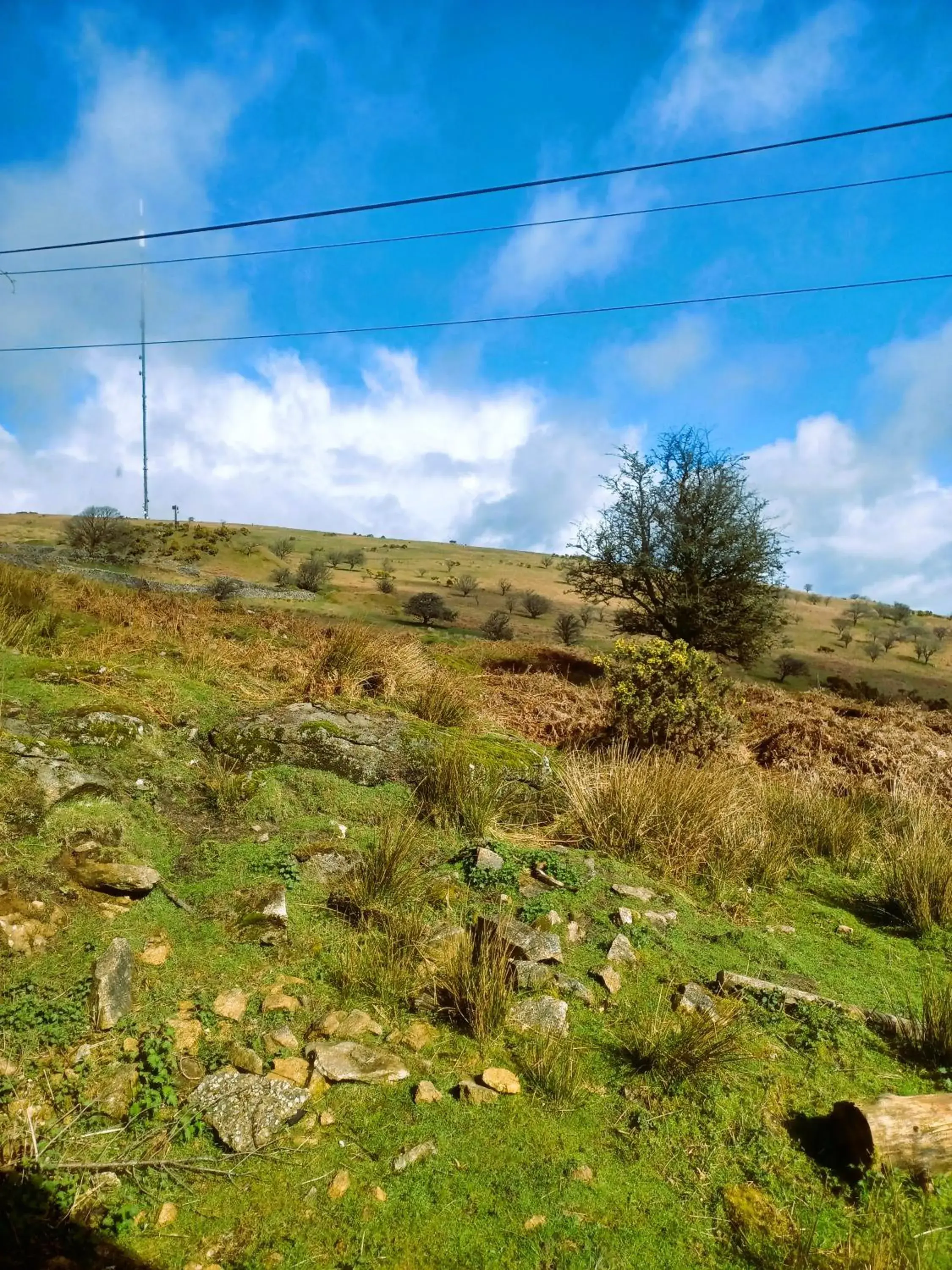 Natural Landscape in Wheal Tor