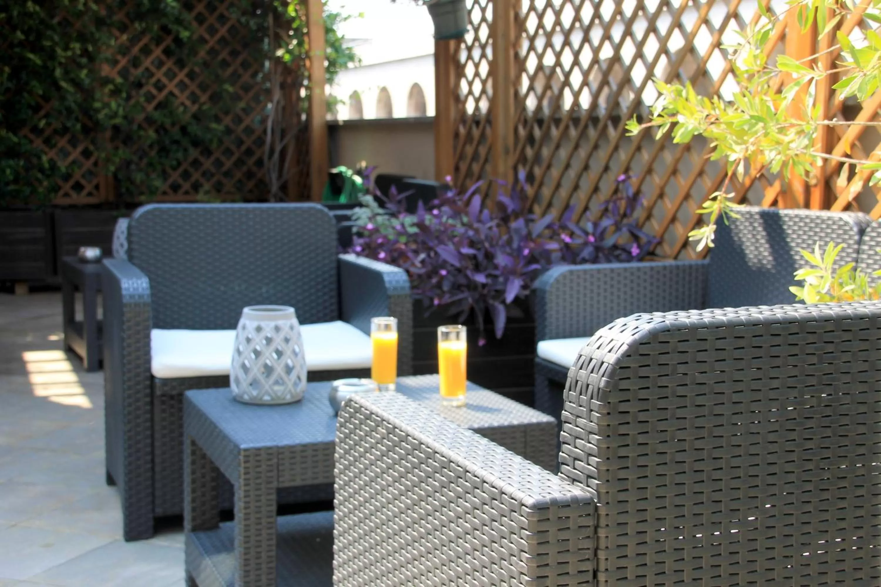 Patio in Hotel Aphrodite