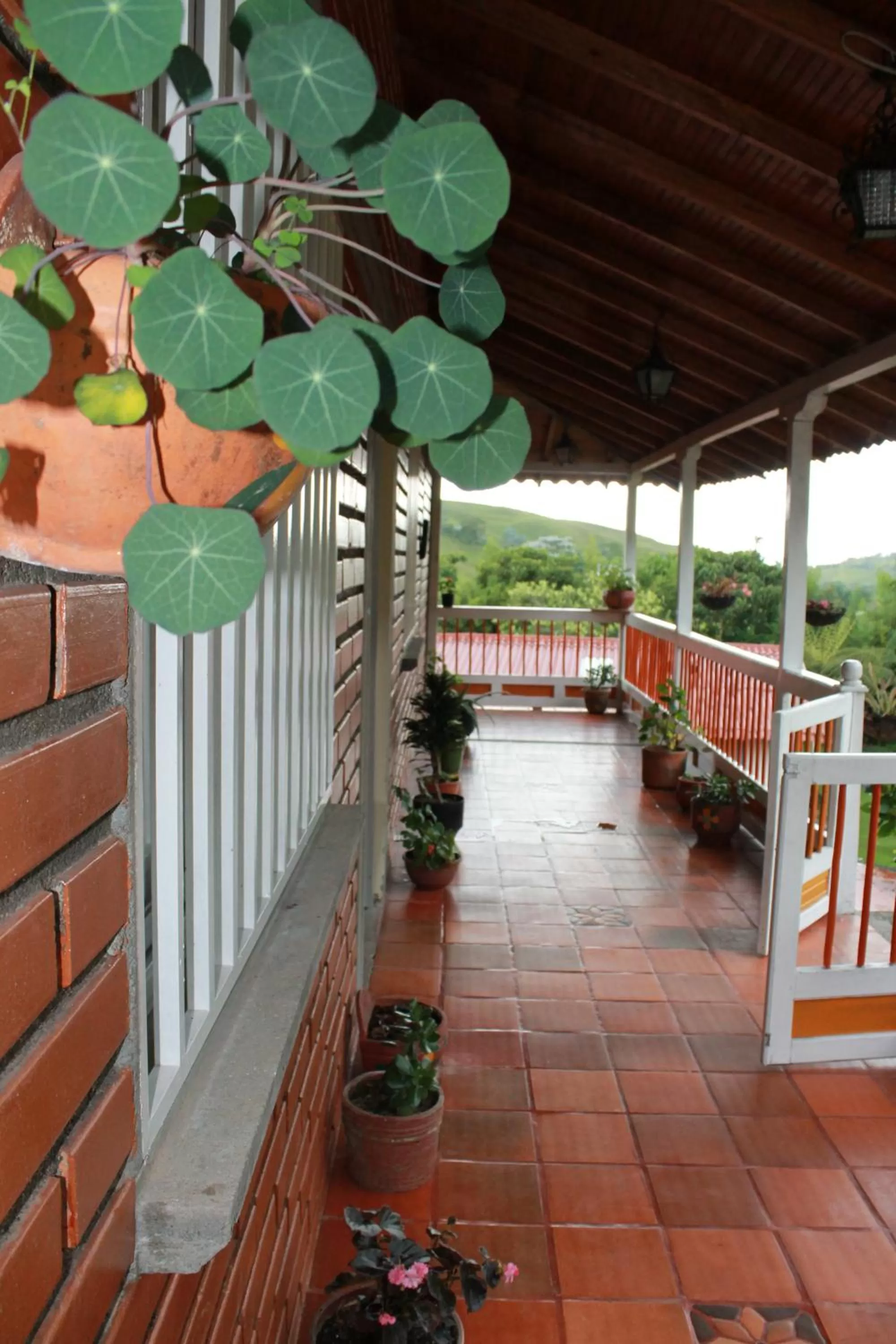 Balcony/Terrace in La Gaviota BnB
