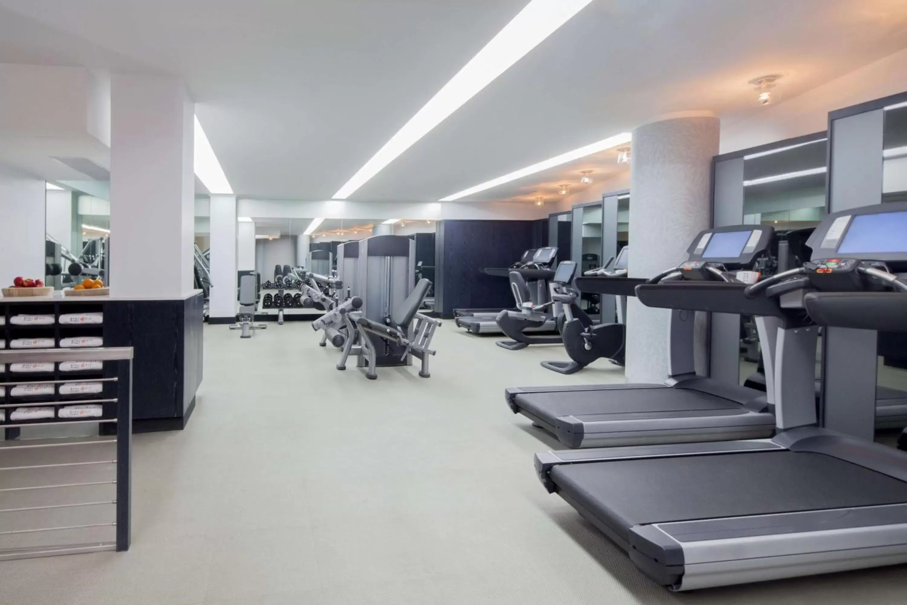 Fitness centre/facilities, Fitness Center/Facilities in Hyatt Union Square New York