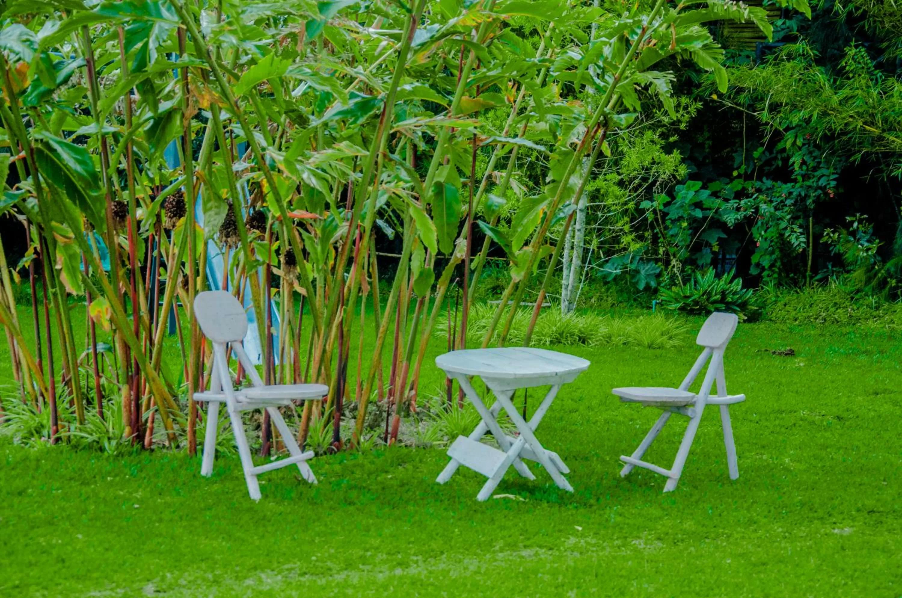 Seating area, Garden in Fravan Eco Resort By Apogee