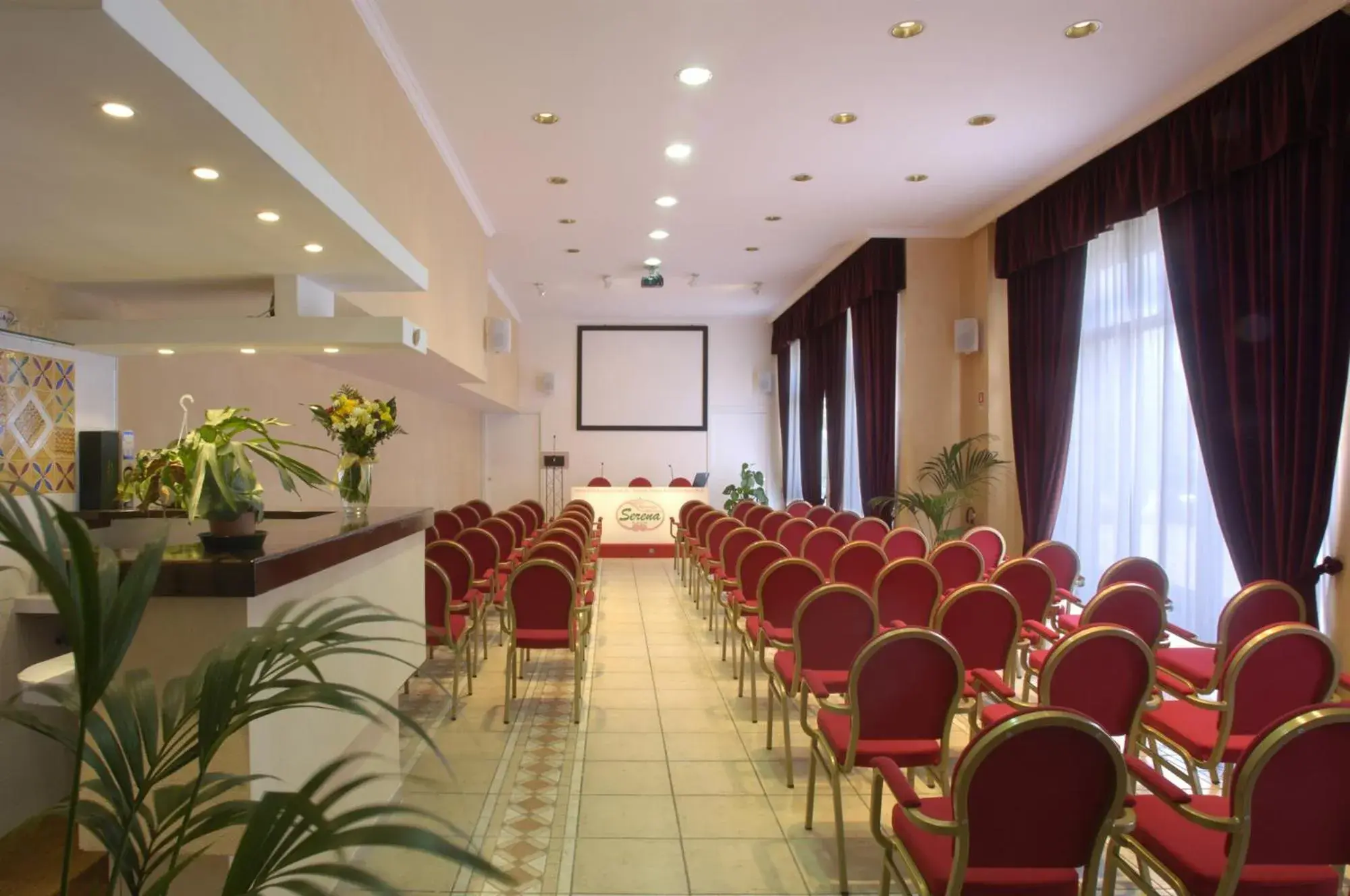 Business facilities in Hotel Serena