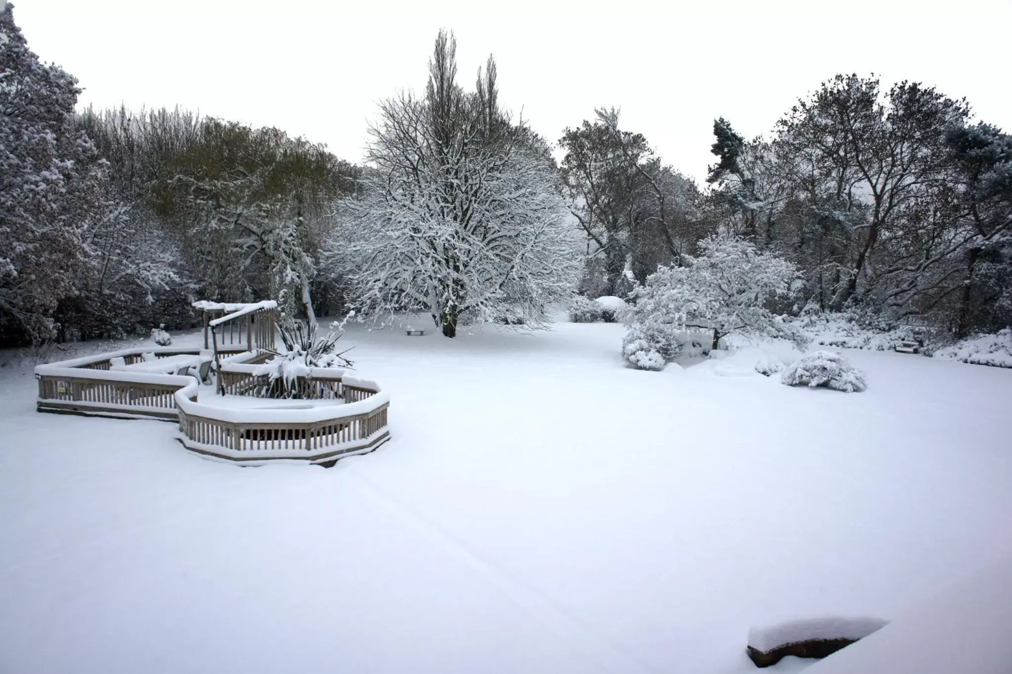 Facade/entrance, Winter in Claverton Hotel