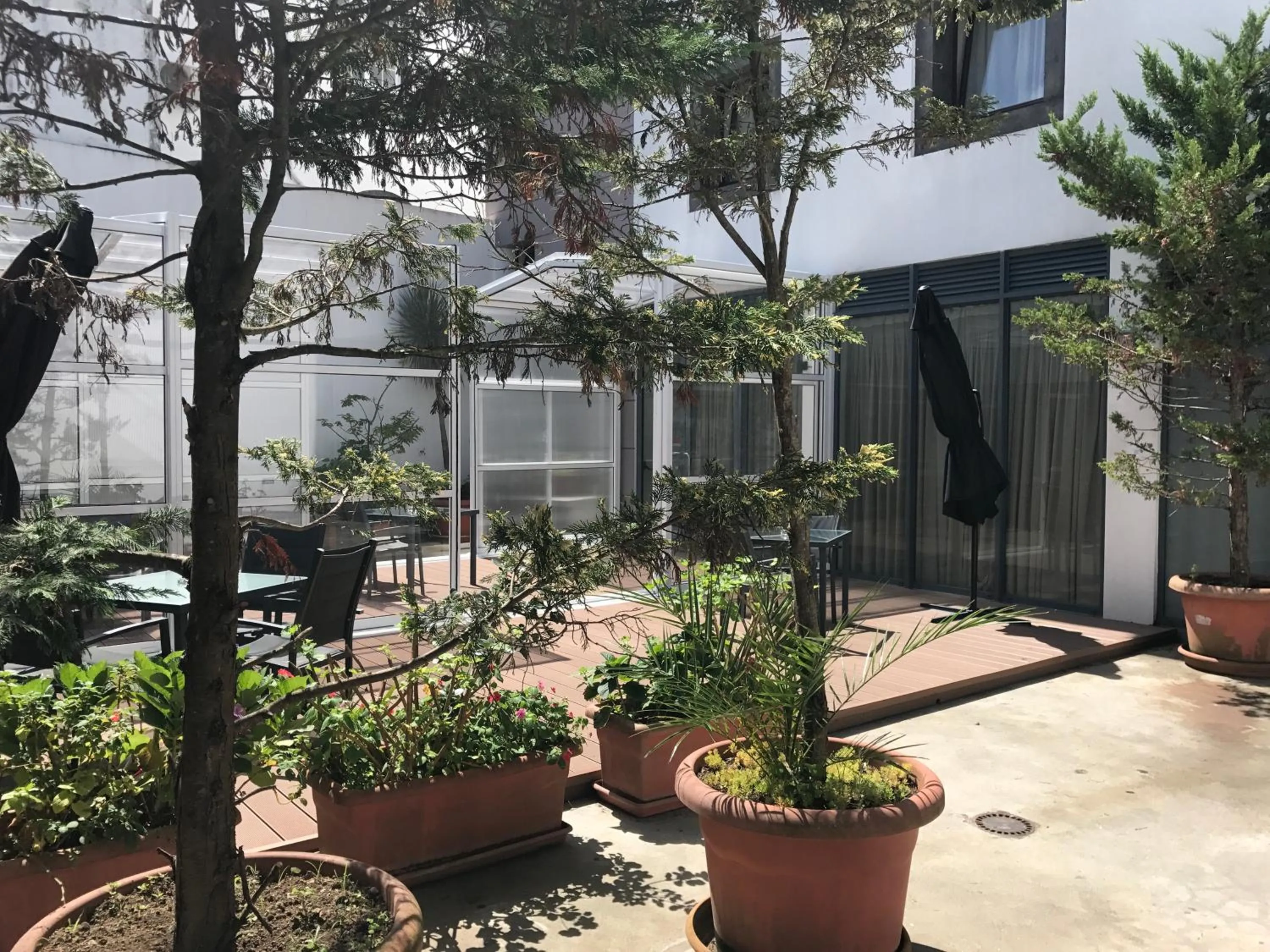 Patio in Hotel Matriz