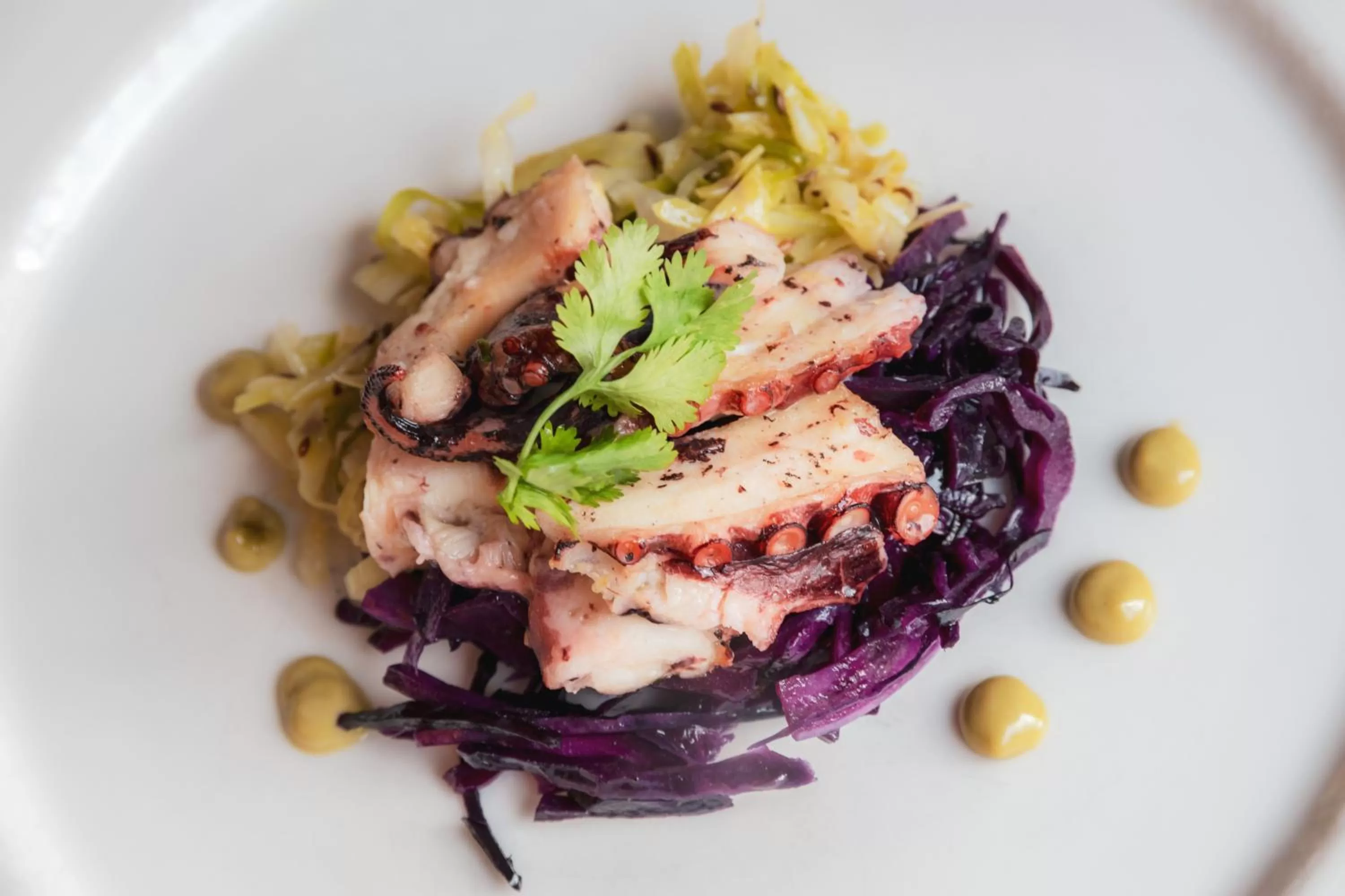 Food and drinks in Hidalgo Suites