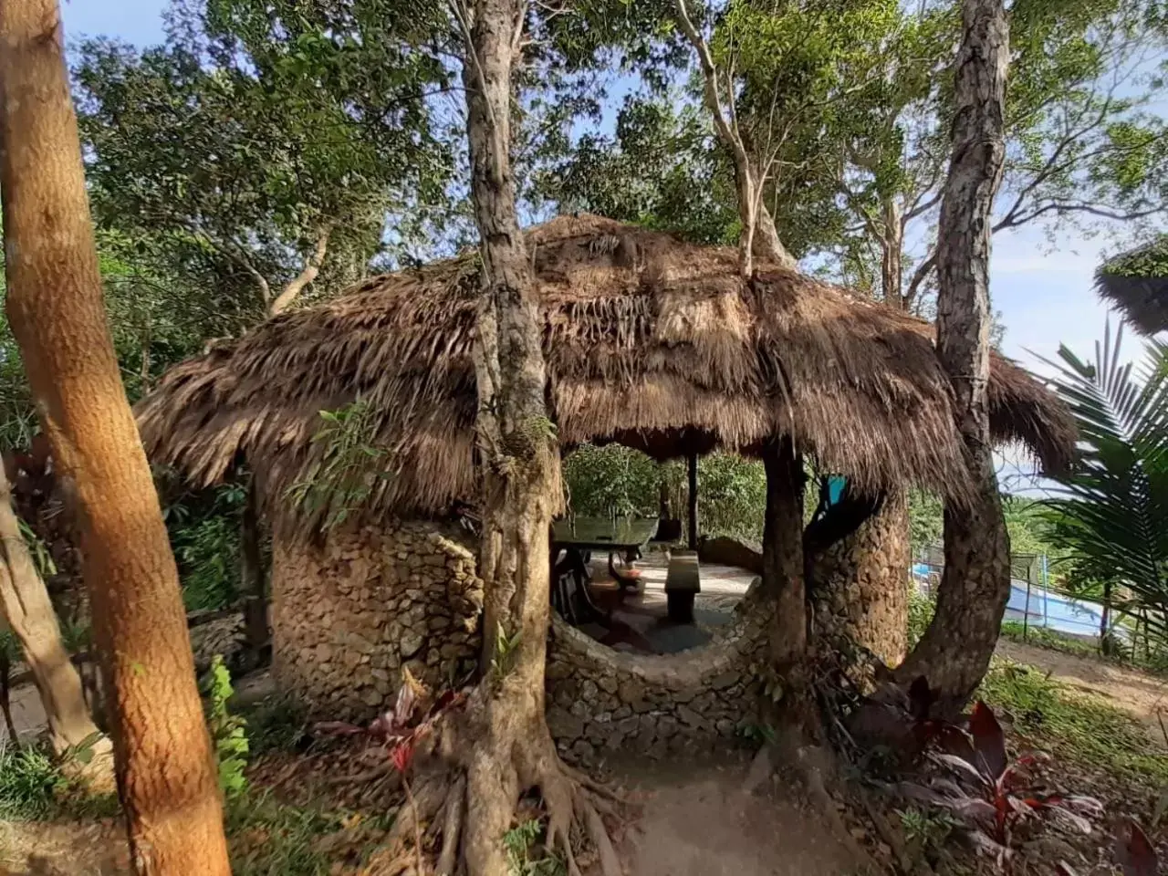 Sanctuaria Treehouses Busuanga