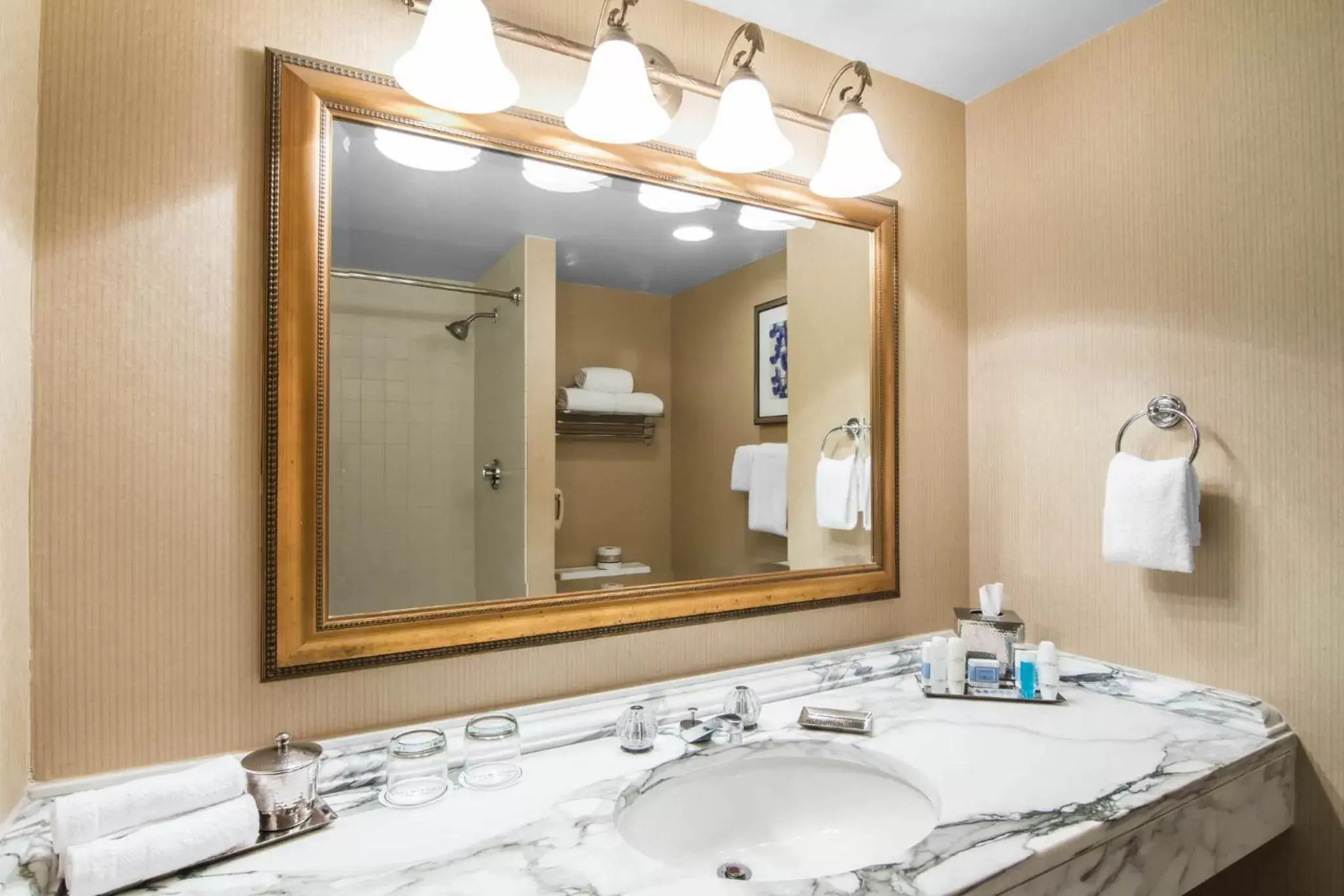 Photo of the whole room, Bathroom in Omni Las Colinas Hotel