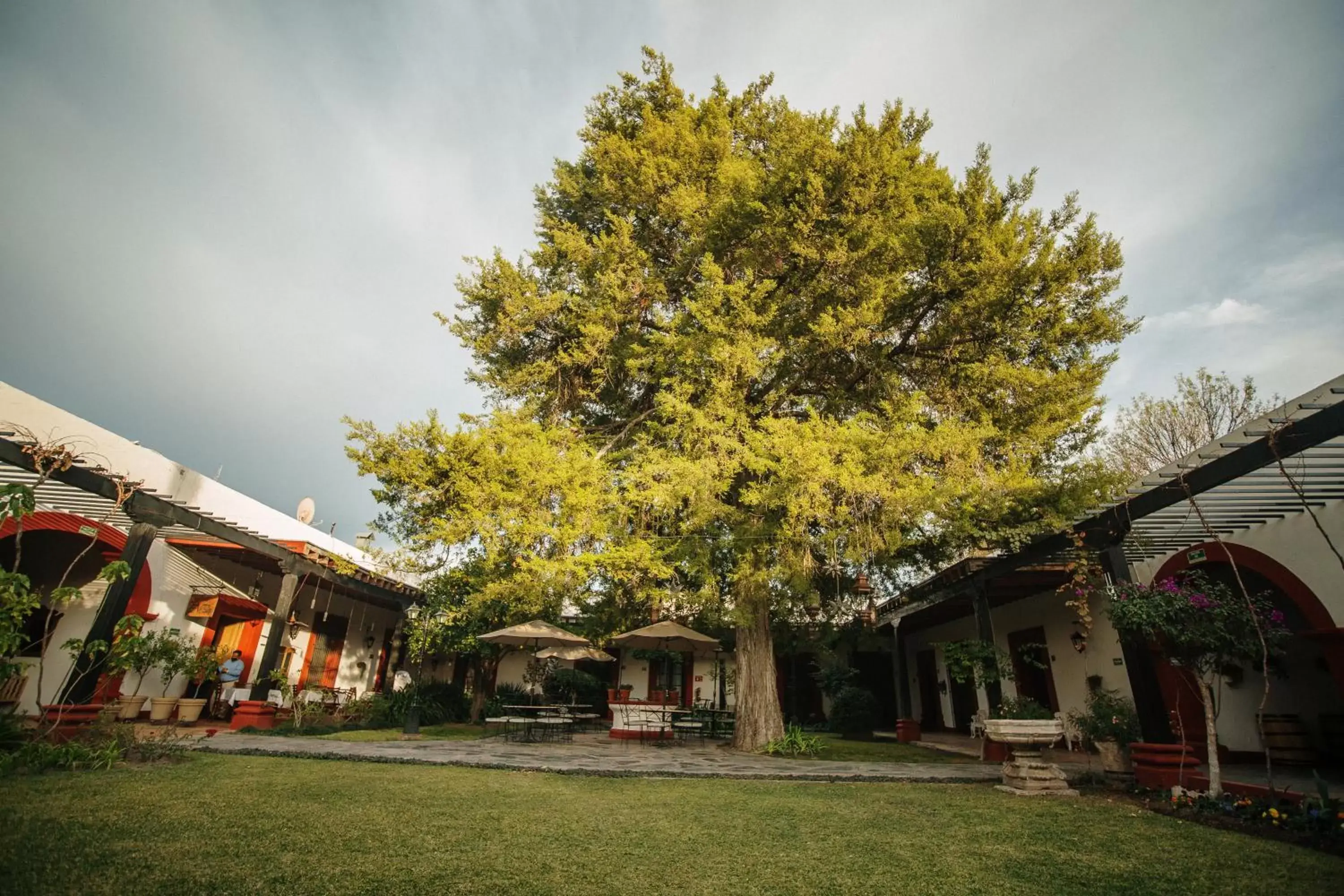 Garden, Property Building in Hotel El Farol