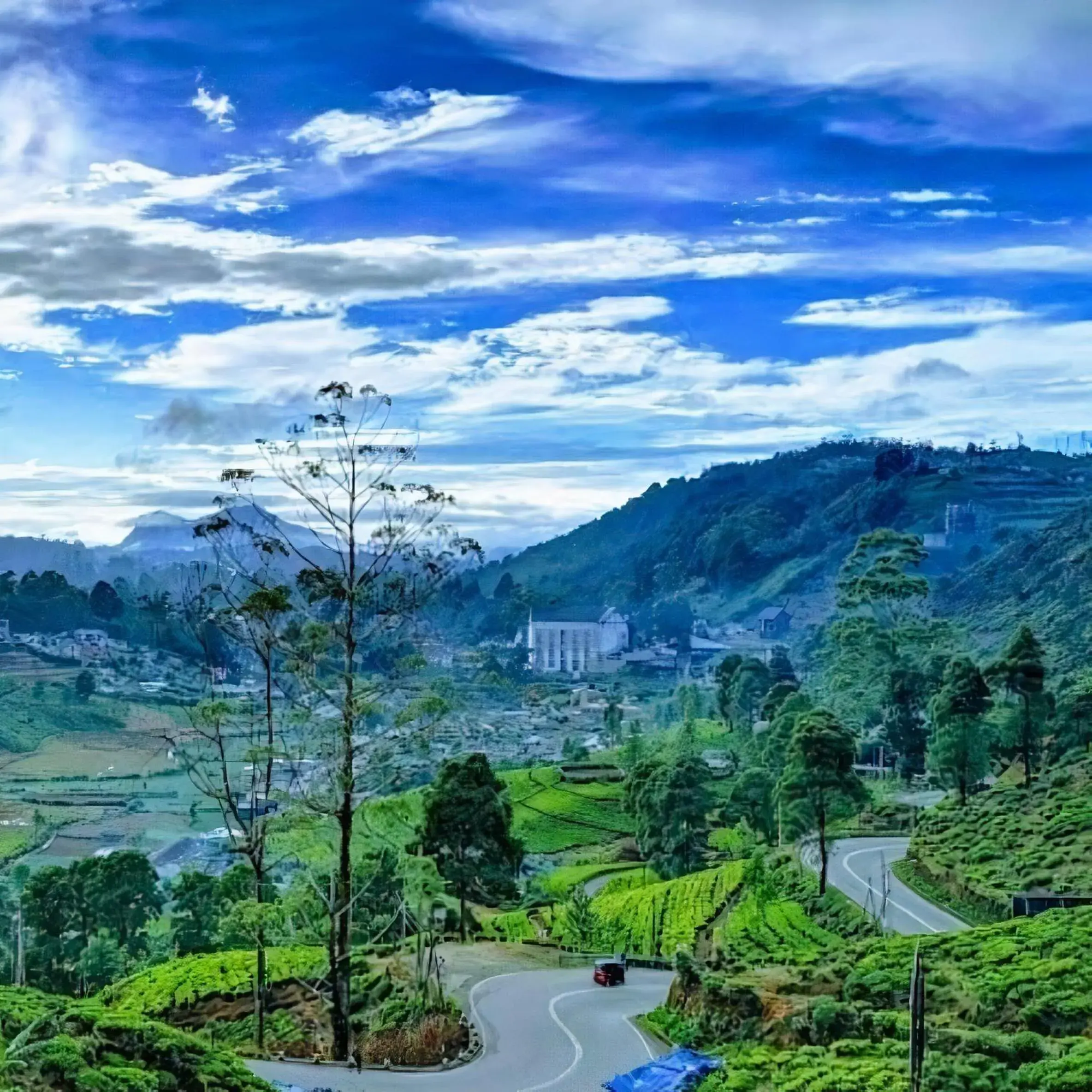 City view in Luxe Wilderness - Private Villas, Free Breakfast, 2km from City Centre City view in Luxe Wilderness - Private Villas, Free Breakfast, 2km from City Centre