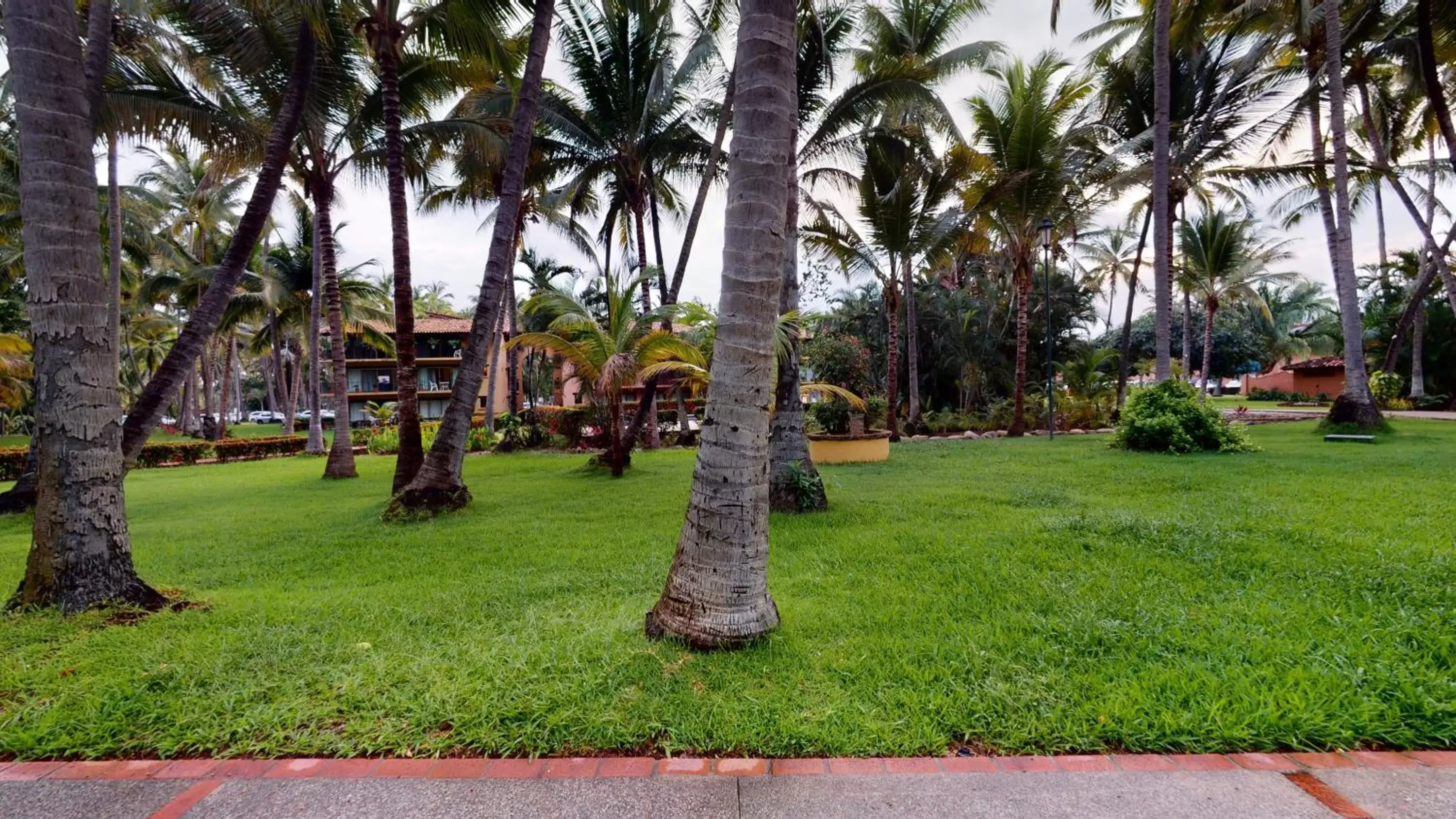 Natural landscape, Garden in Park Royal Homestay Los Tules Puerto Vallarta