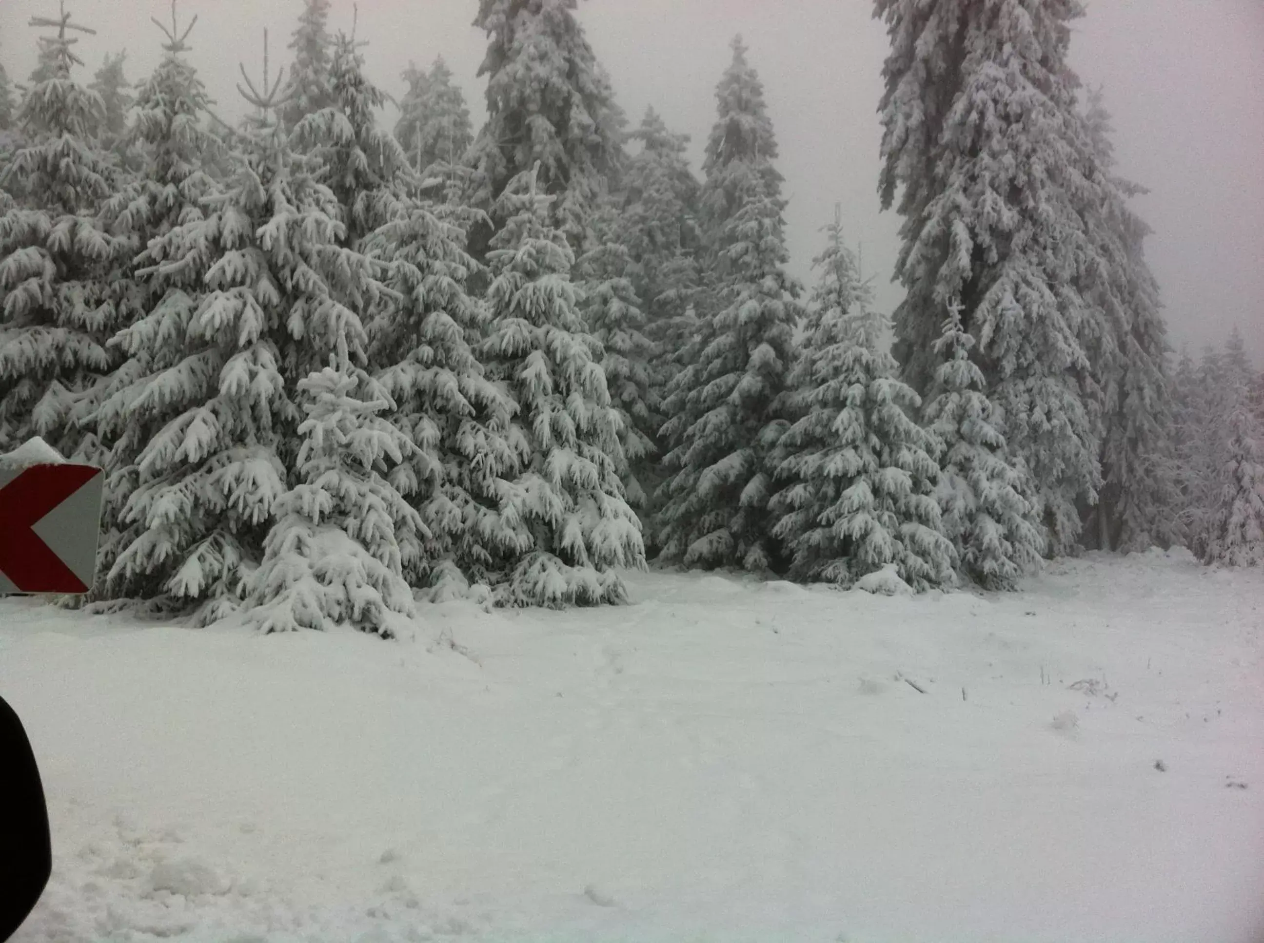 Hiking, Winter in Land-Hotel Am Wald Garni