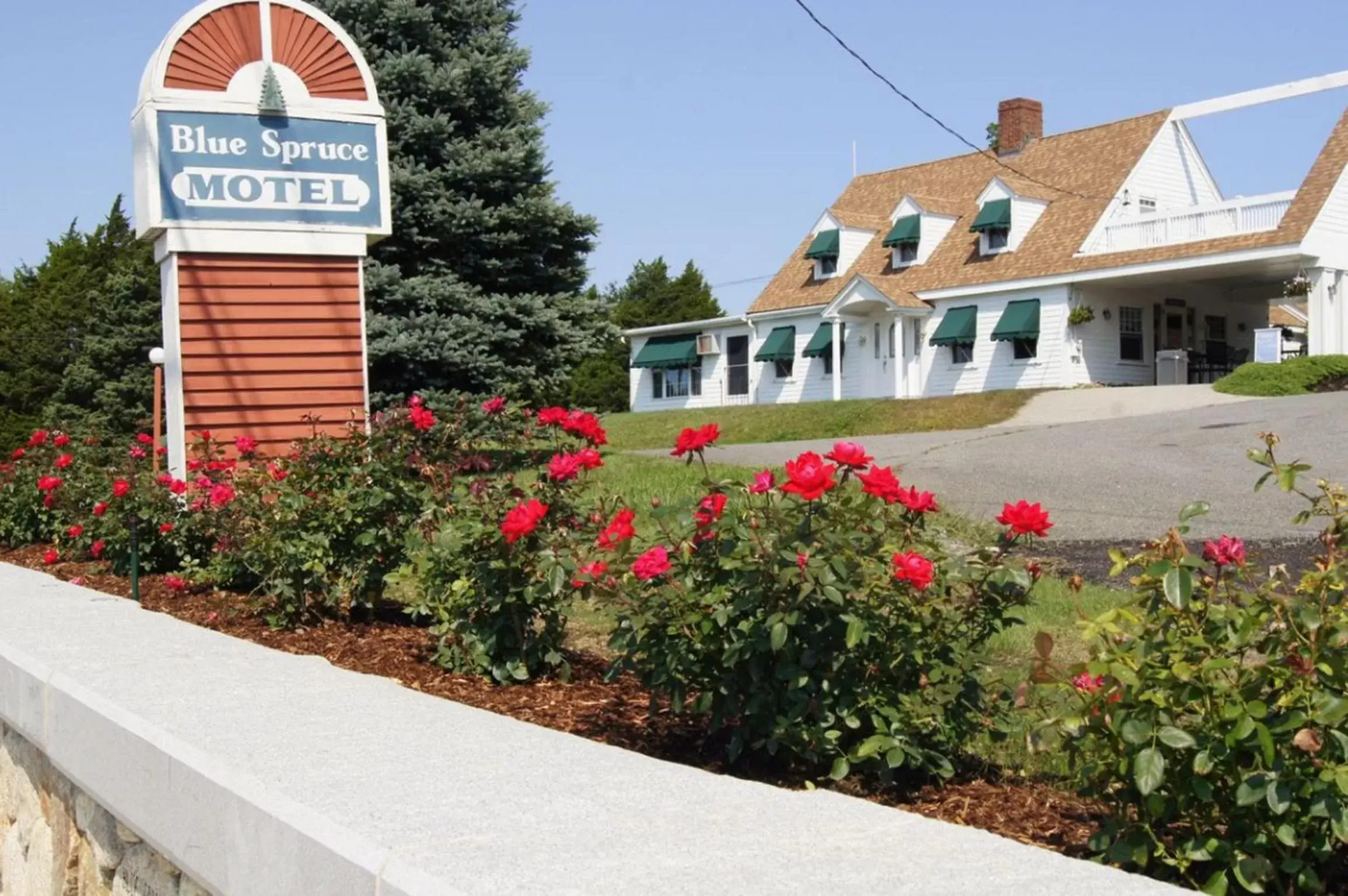 Facade/entrance in Blue Spruce Inn & Townhouses