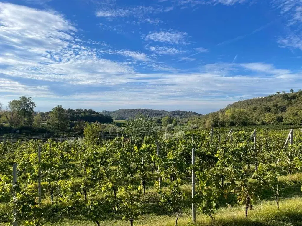 Natural Landscape in B&B Sovenigo