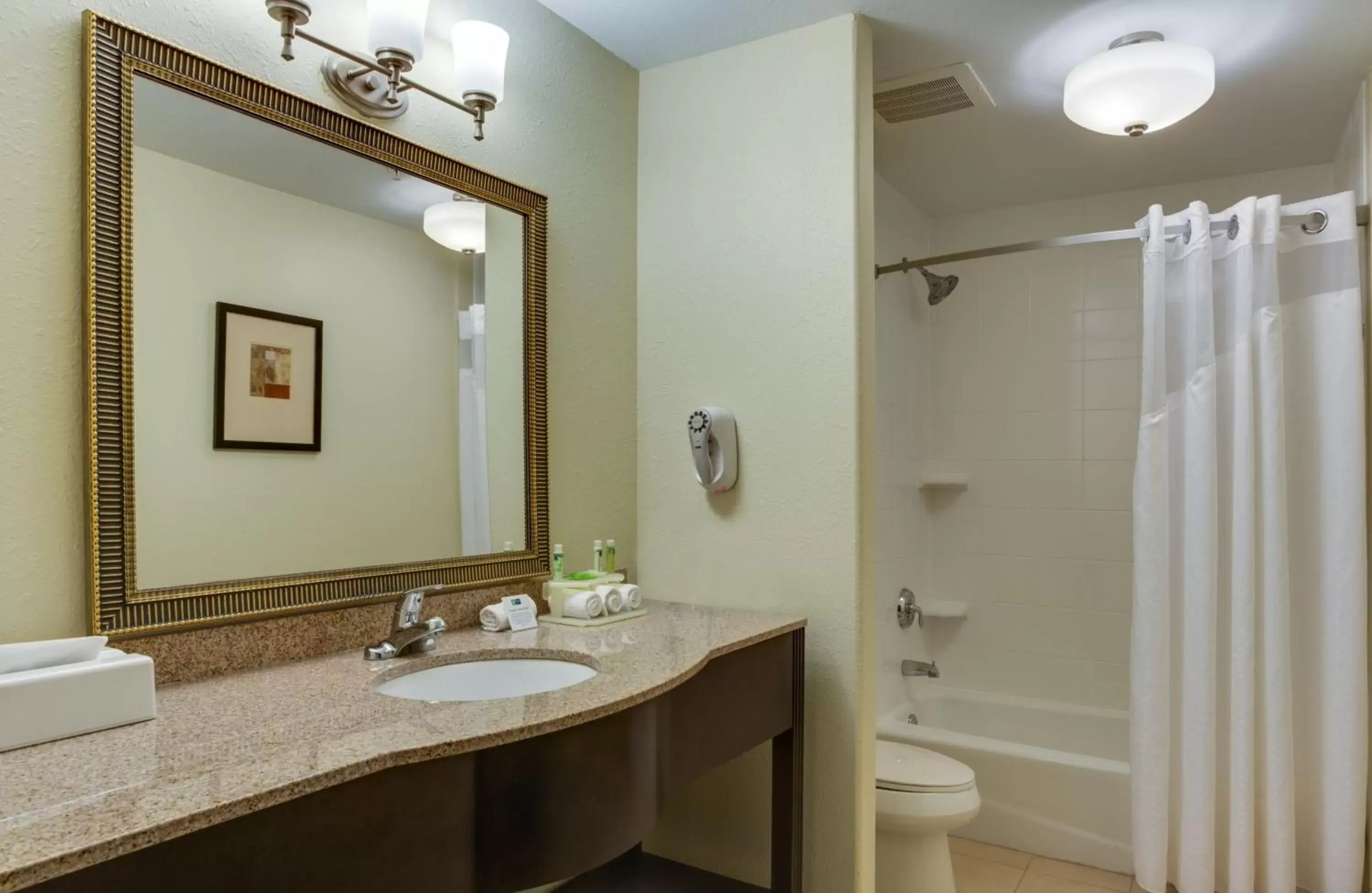 Bathroom in Holiday Inn Express & Suites Moultrie, an IHG Hotel