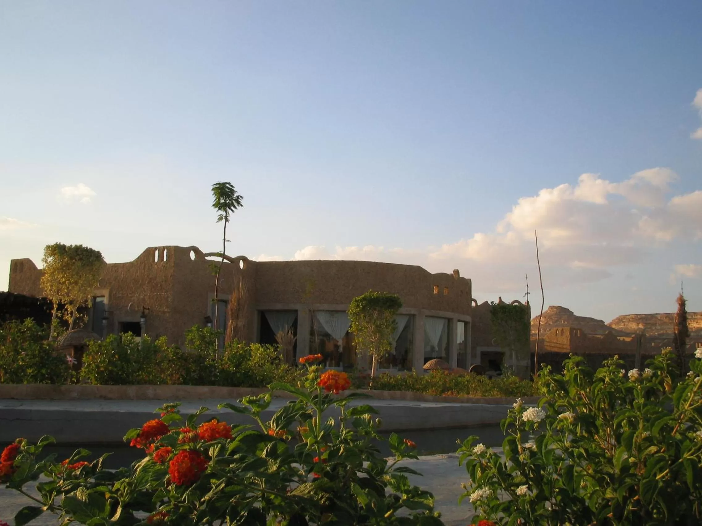 Day in Siwa Shali Resort