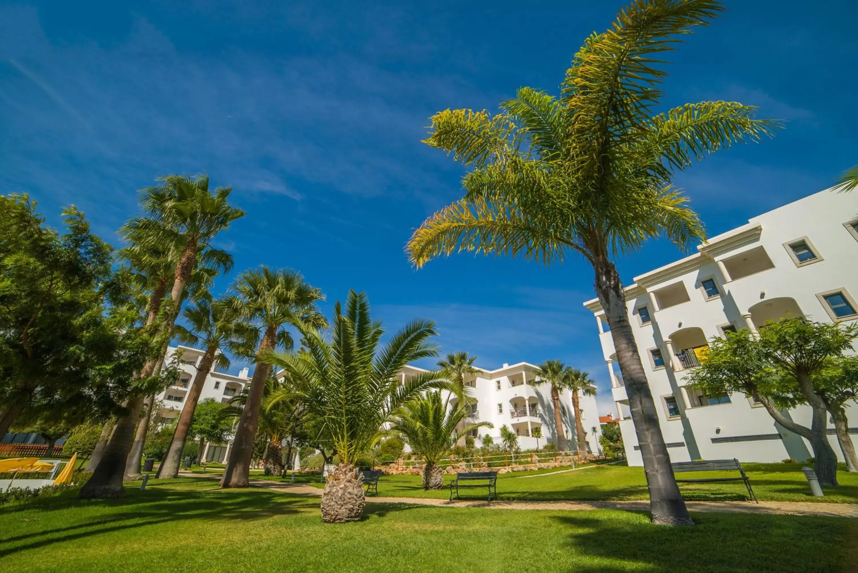 Garden, Property Building in Vila Petra