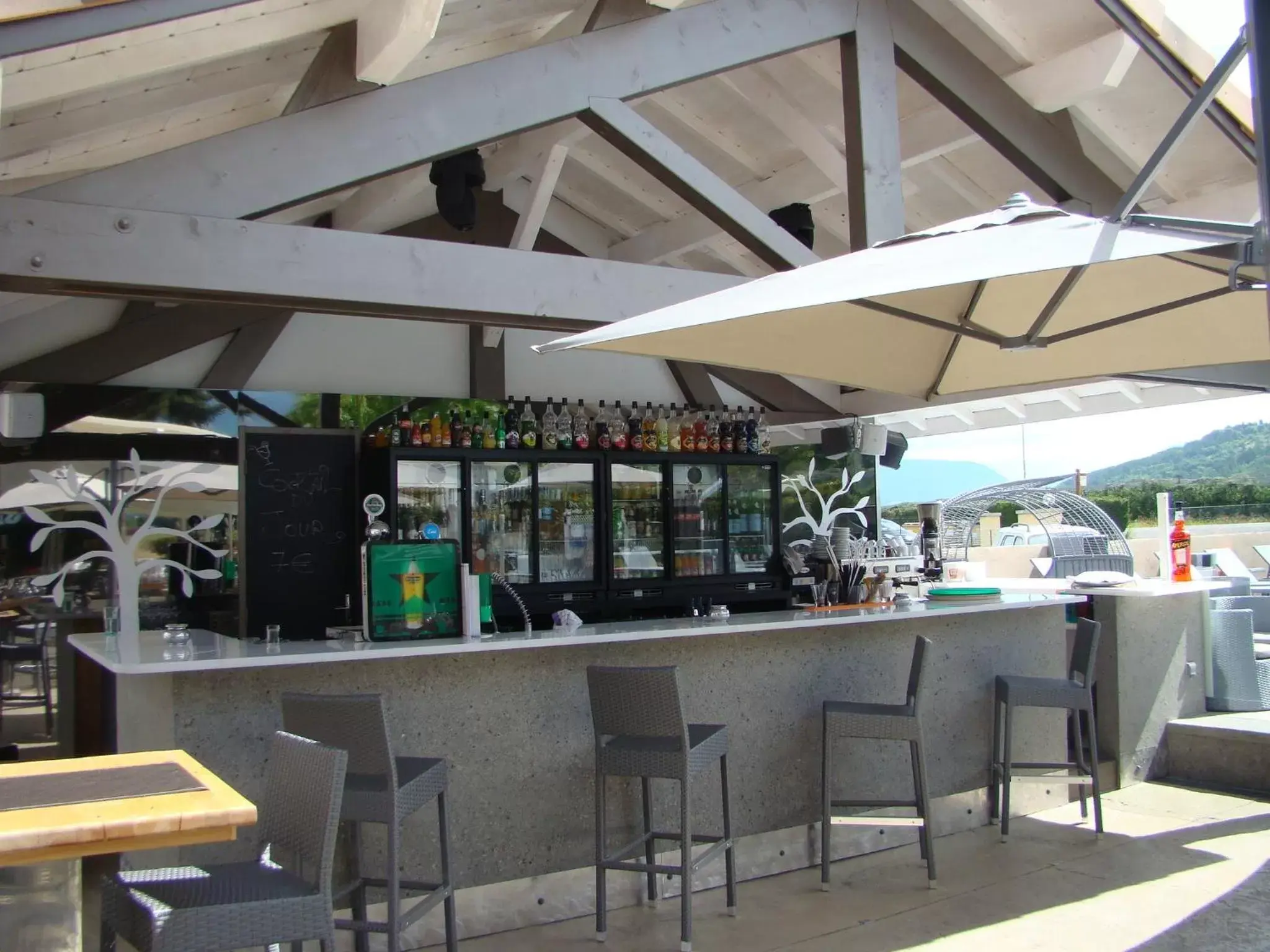 Lounge or bar, Lounge/Bar in Le Mas d'Estello