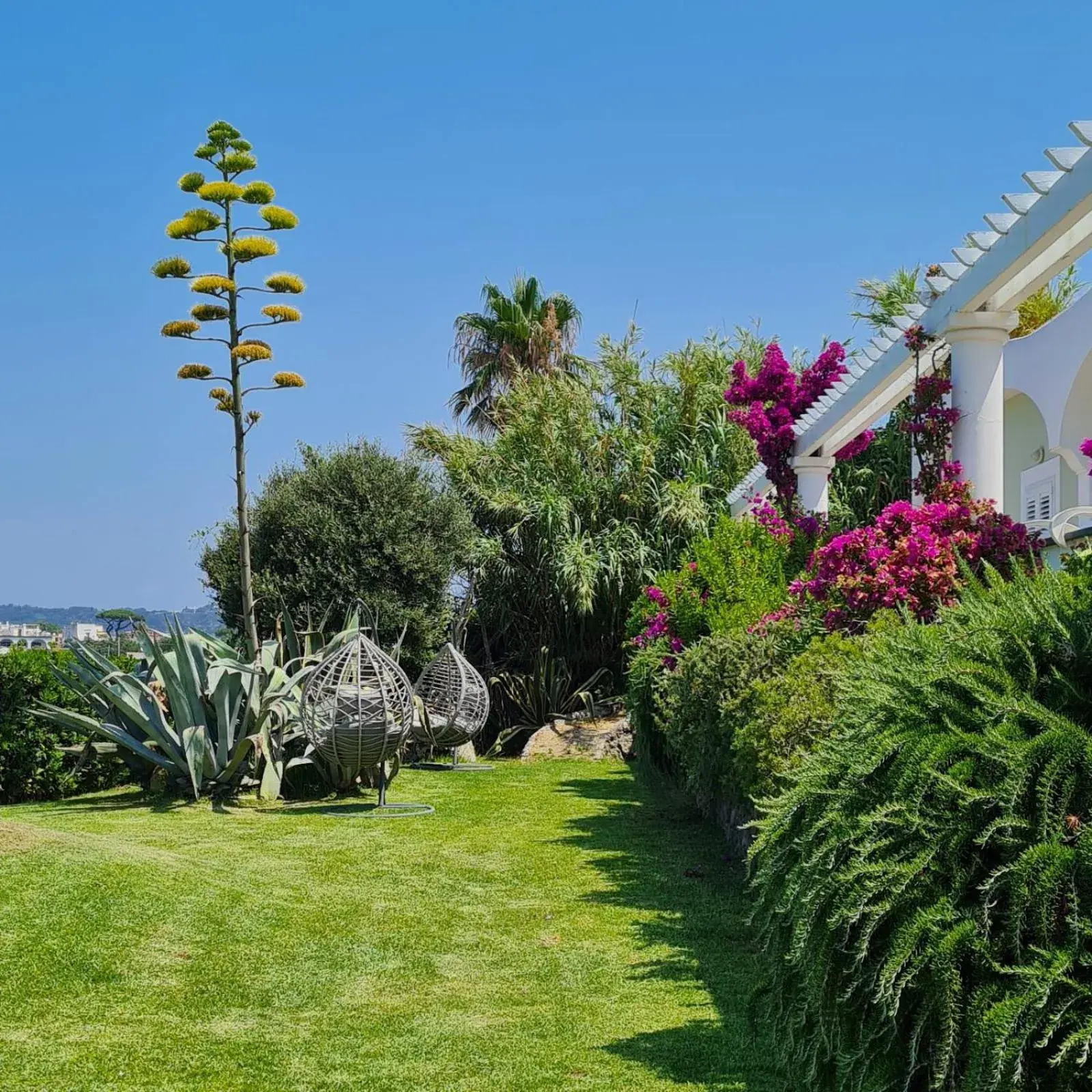 Garden, Property Building in Hotel Albatros