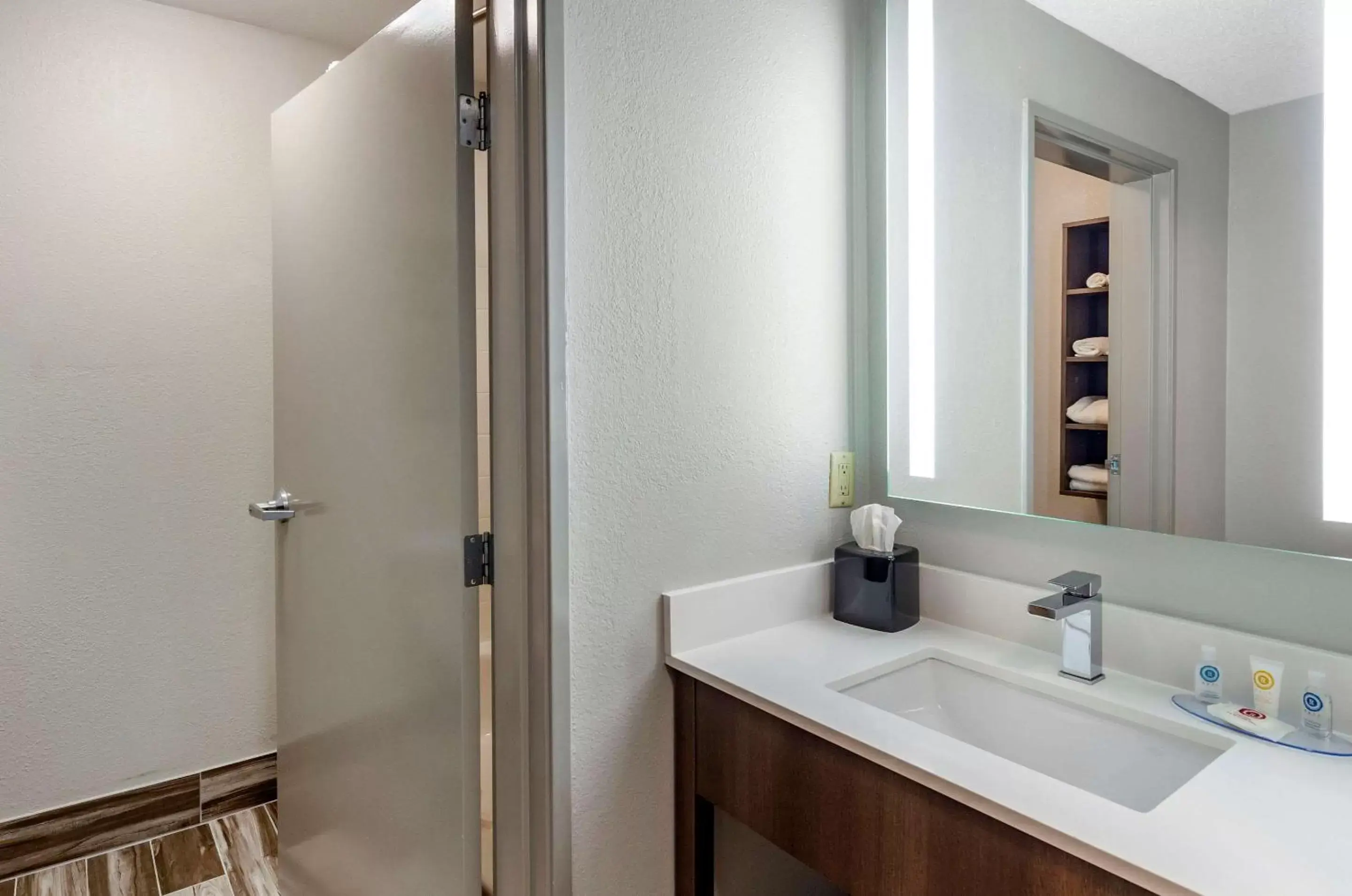 Photo of the whole room, Bathroom in Comfort Inn & Suites Troutville - Roanoke North / Daleville