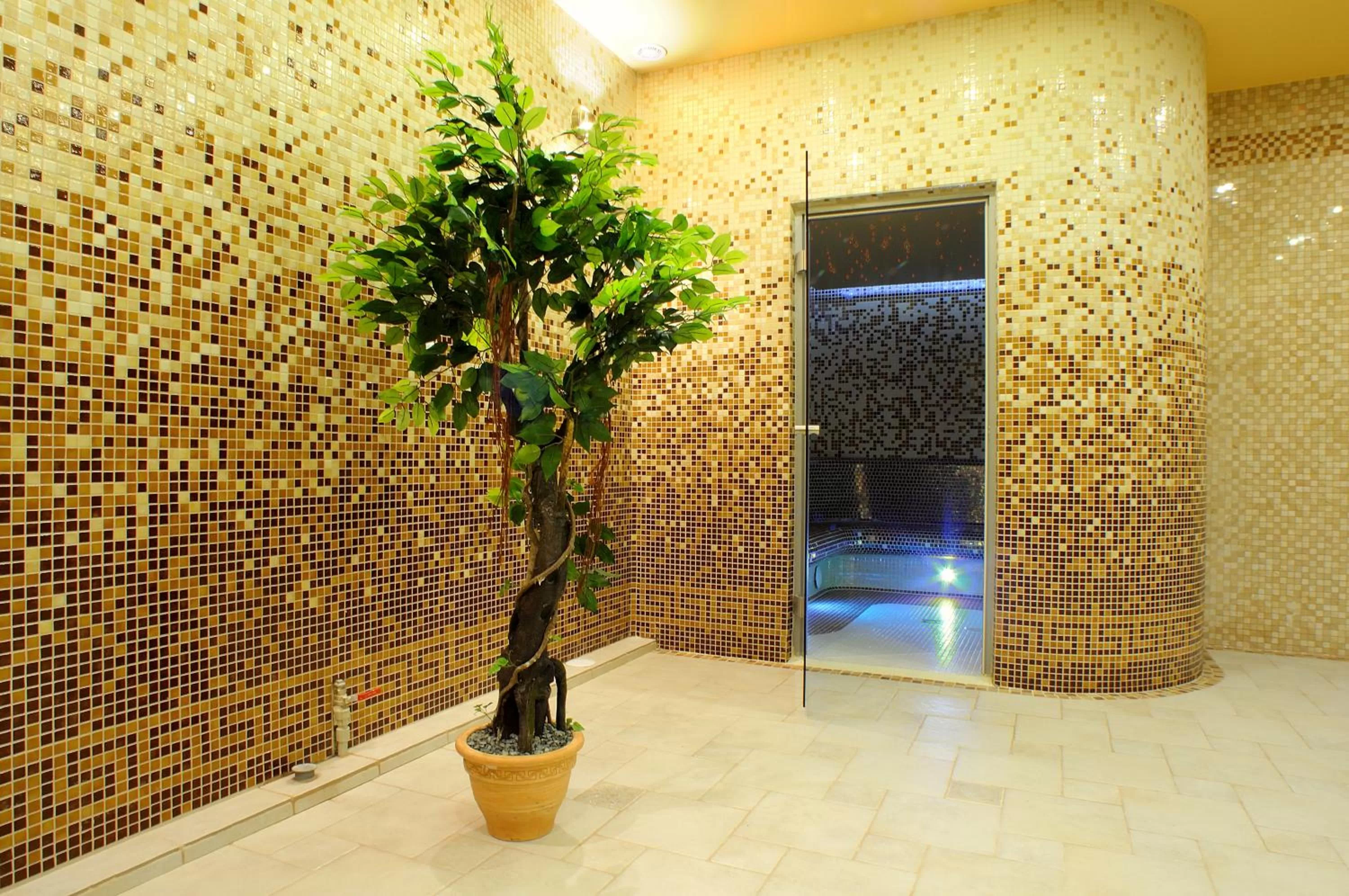 Spa and wellness centre/facilities in Hotel i Restauracja Bona