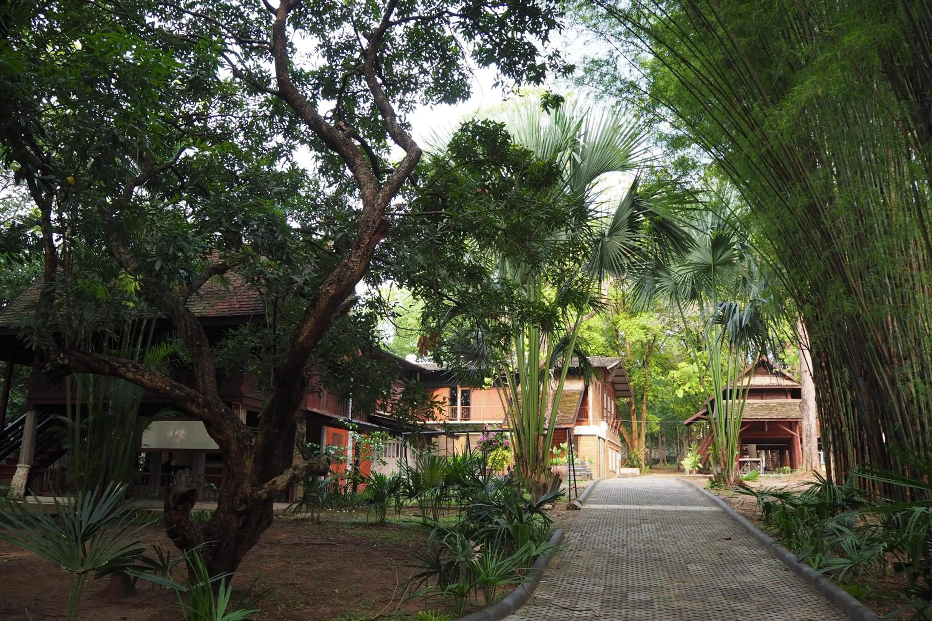 Garden in Insight Hostel