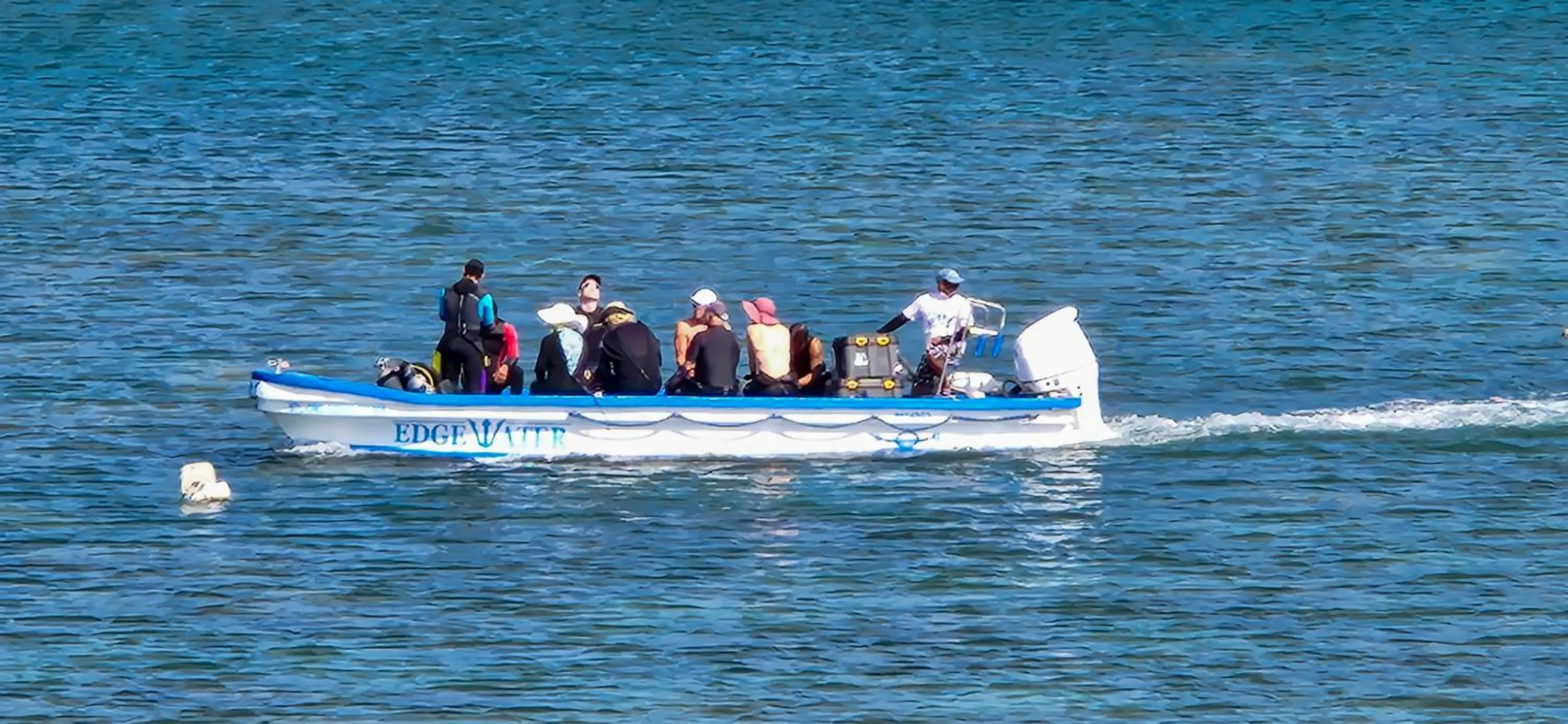 Diving in Edgewater Dive & Spa Resort