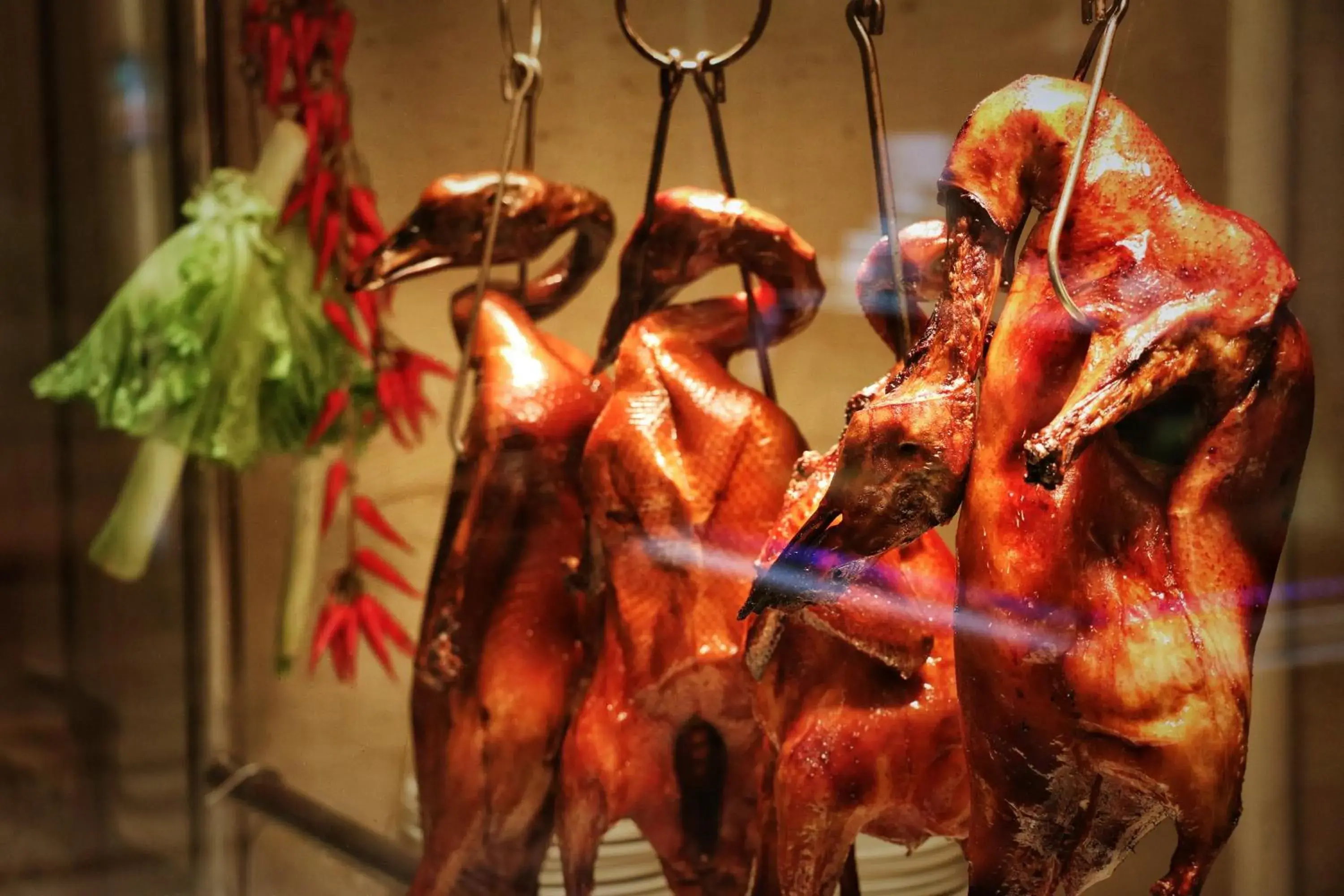 Food close-up, Other Animals in Shangri-La Nanchang